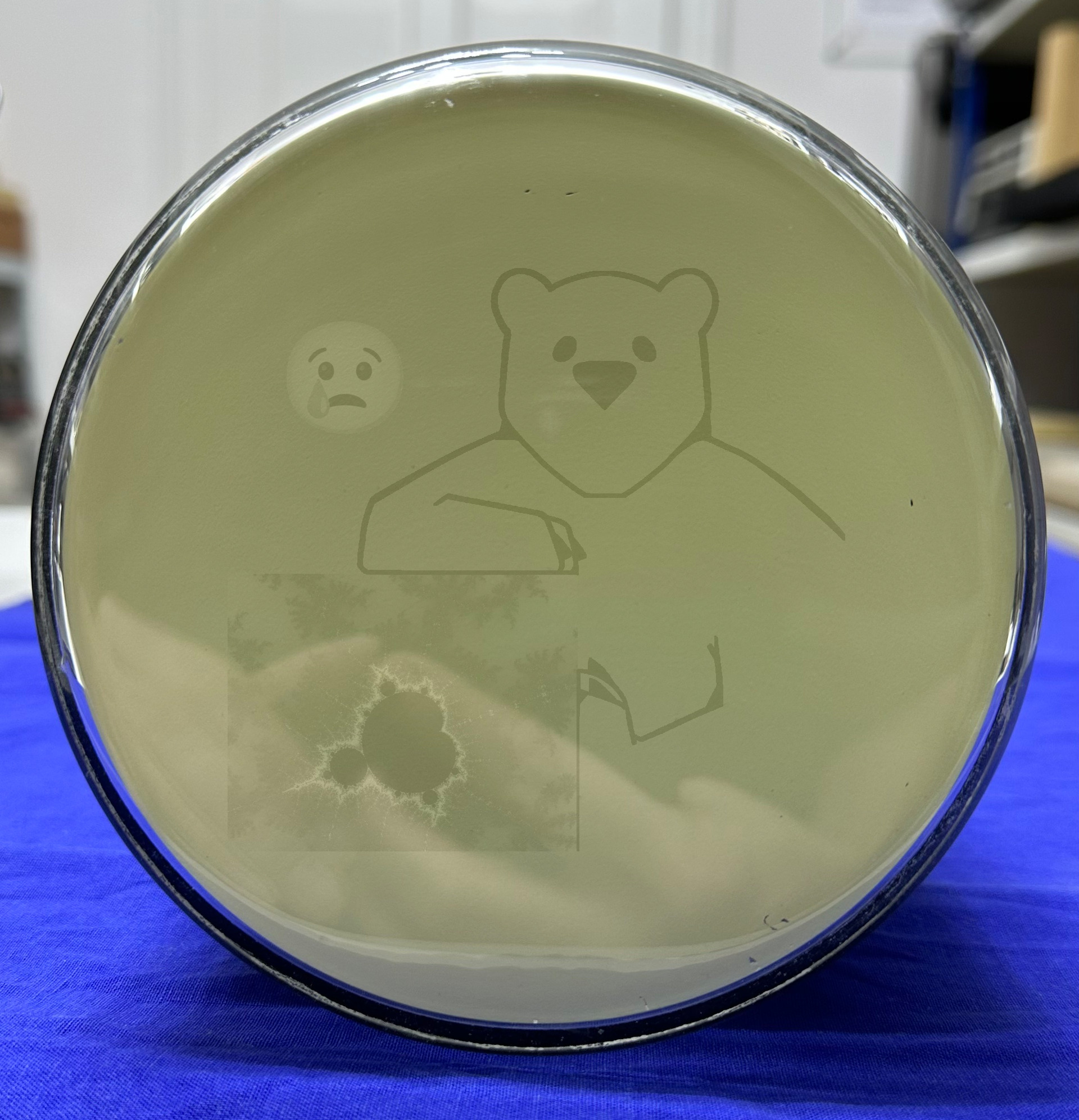 Röhre DP13-54 #4704 Bild 20