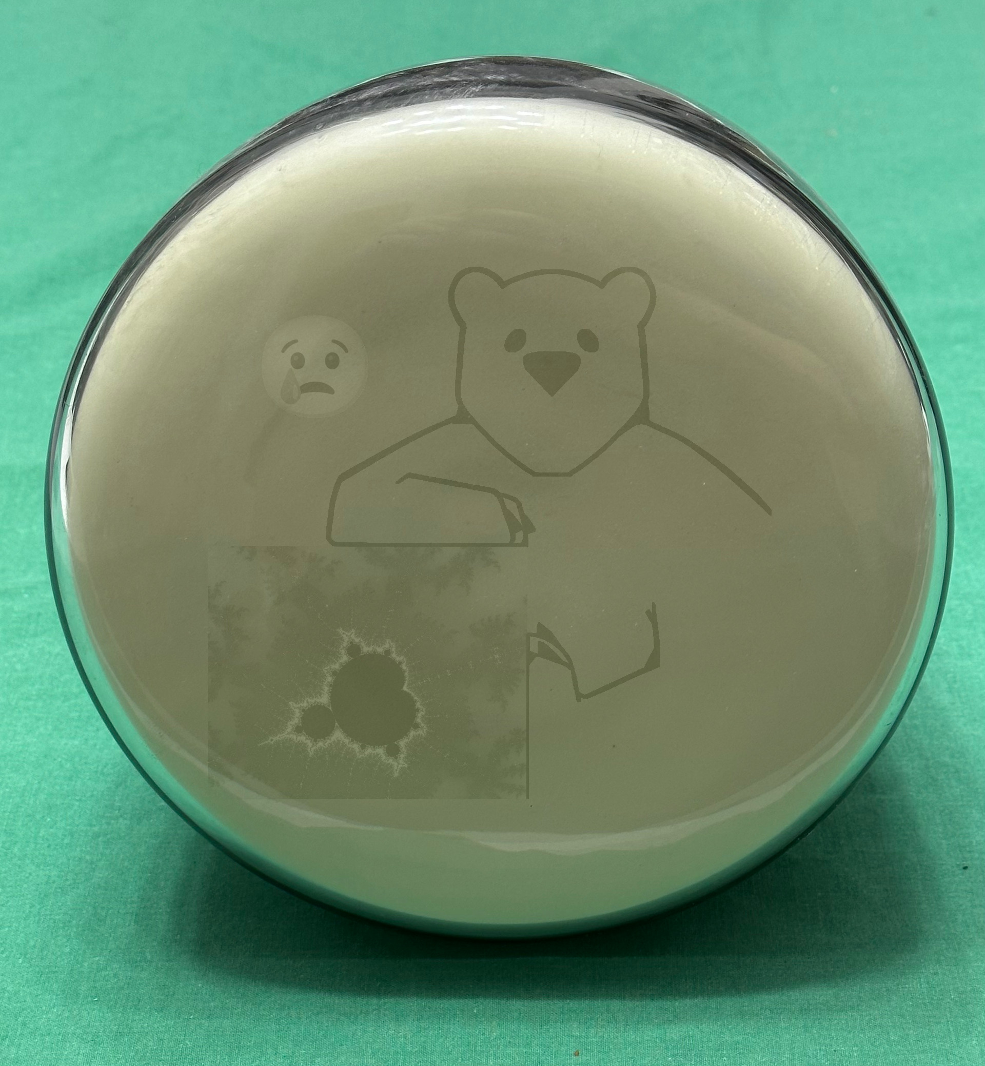 Röhre DP18-14 #8229 Bild 12