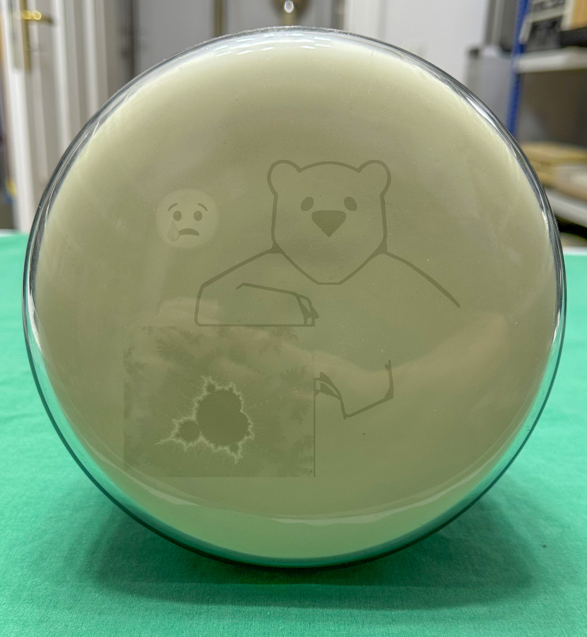 Röhre DP18-14 #8229 Bild 13