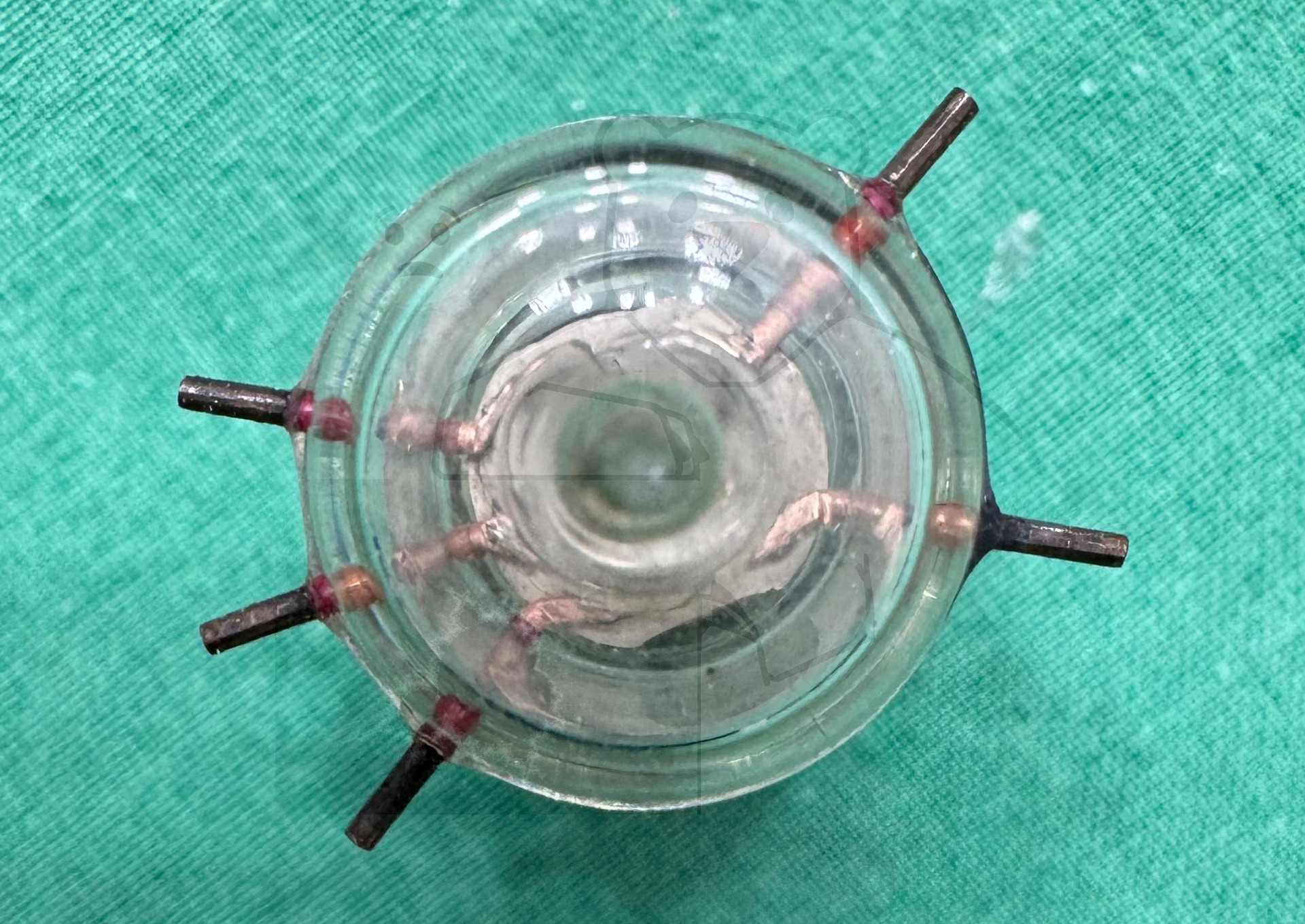 Röhre DS311 #8169 Bild 7