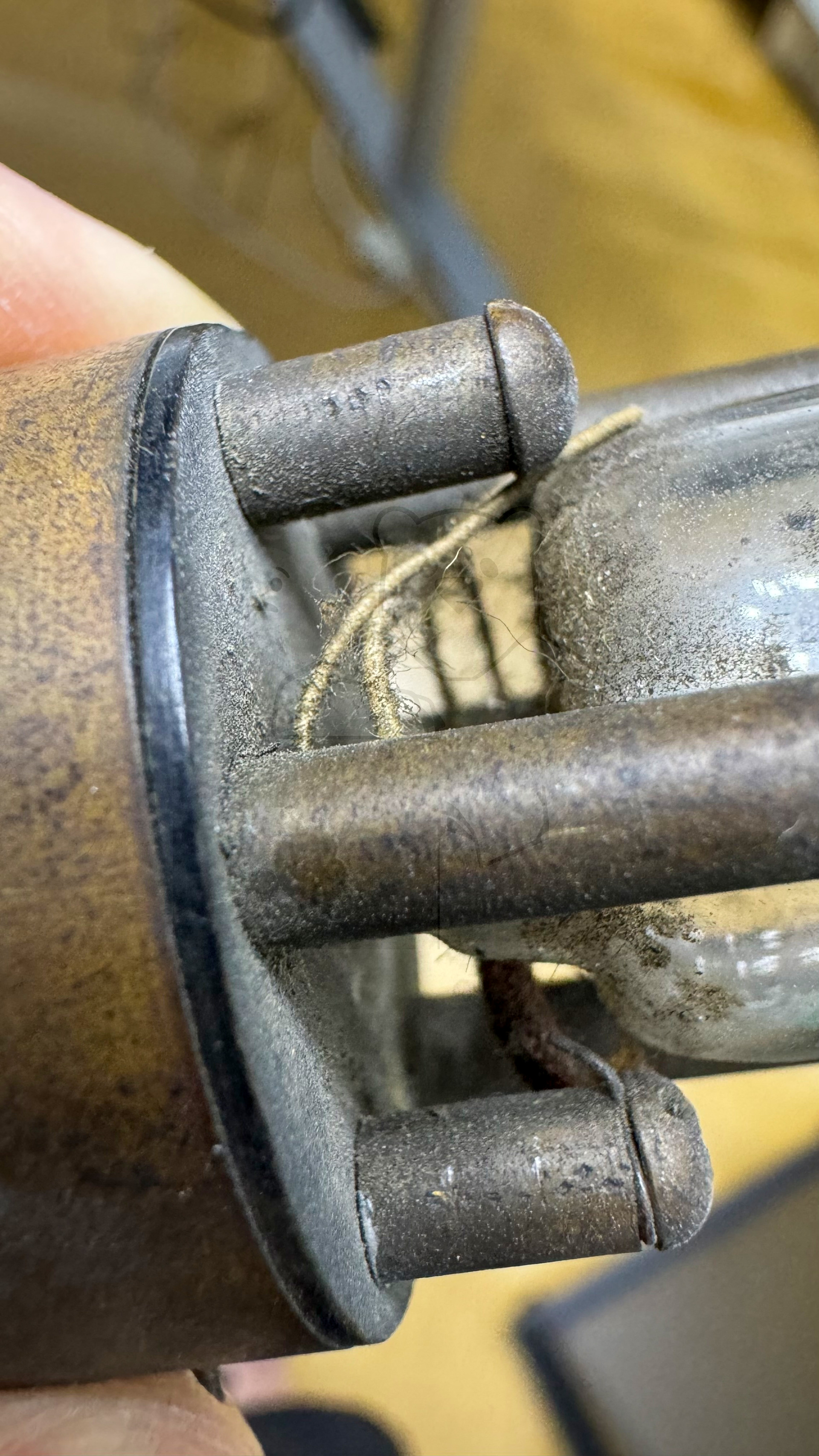 Röhre DeForest Audion #6798 Bild 12