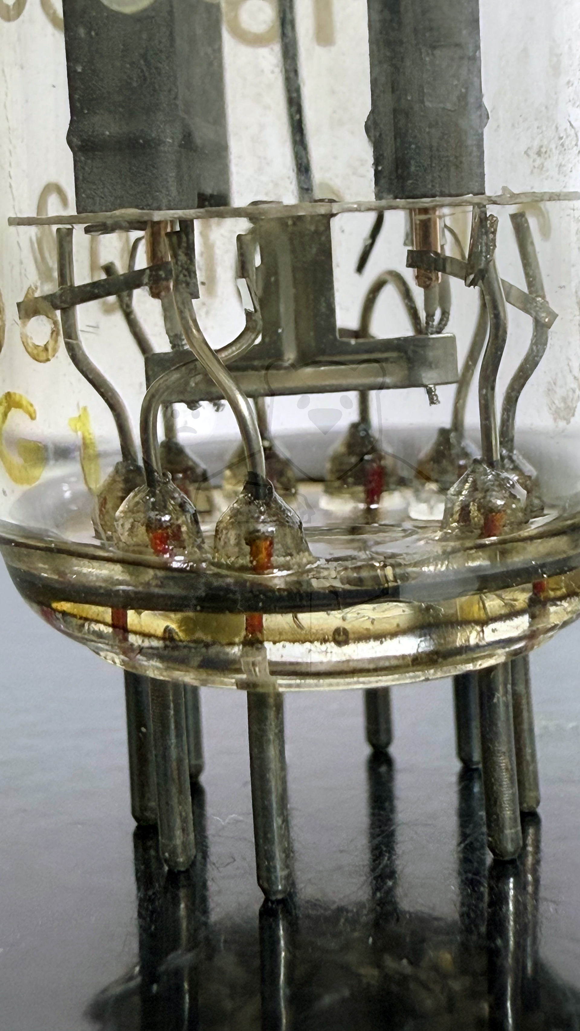 Röhre E182CC #7503 Bild 8