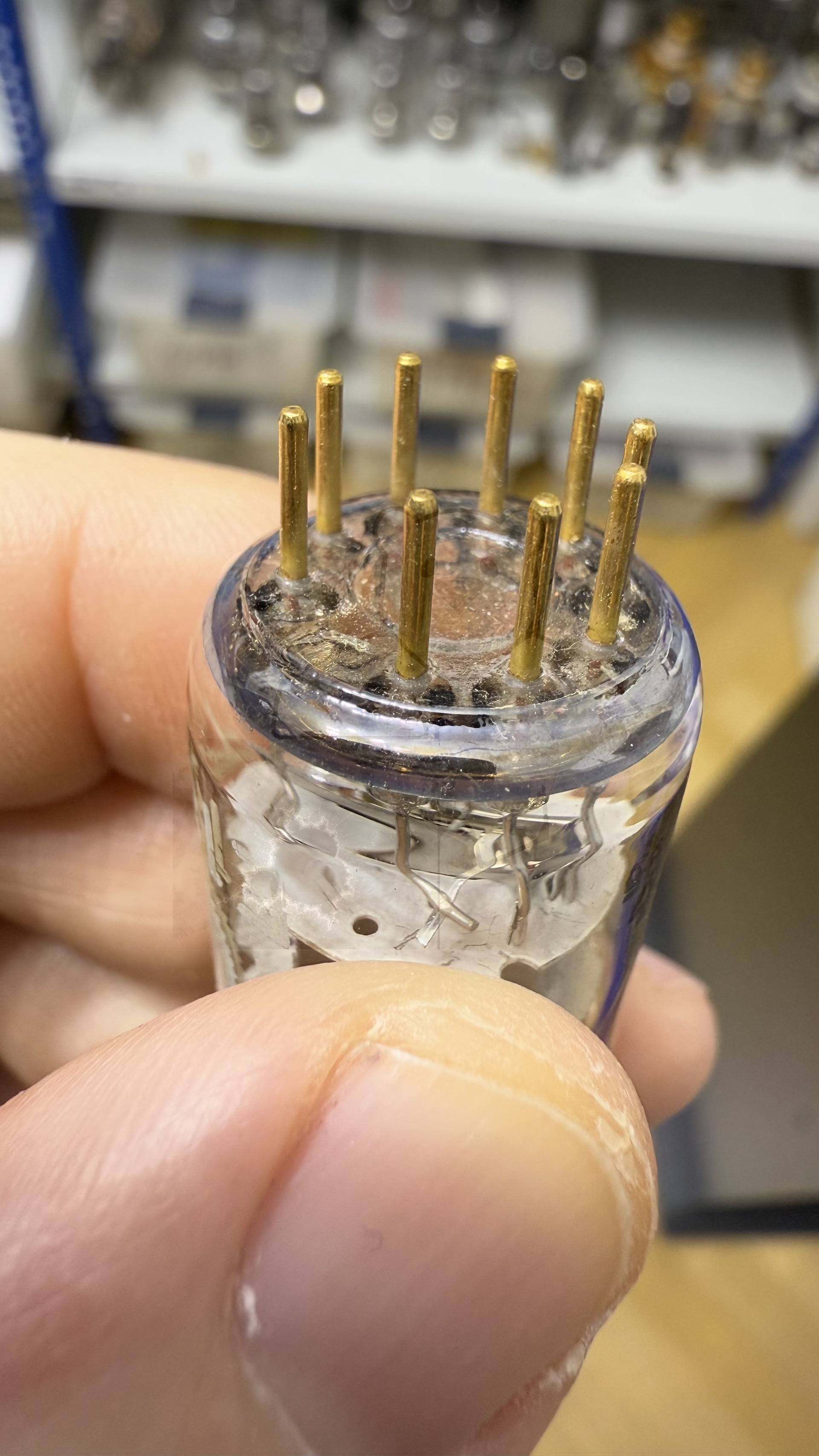 Röhre E186F #6709 Bild 6