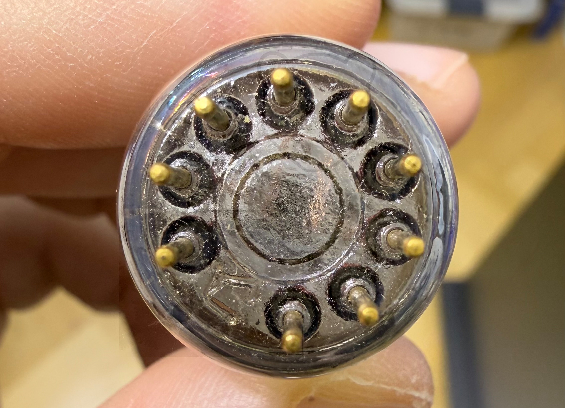 Röhre E186F #6709 Bild 7