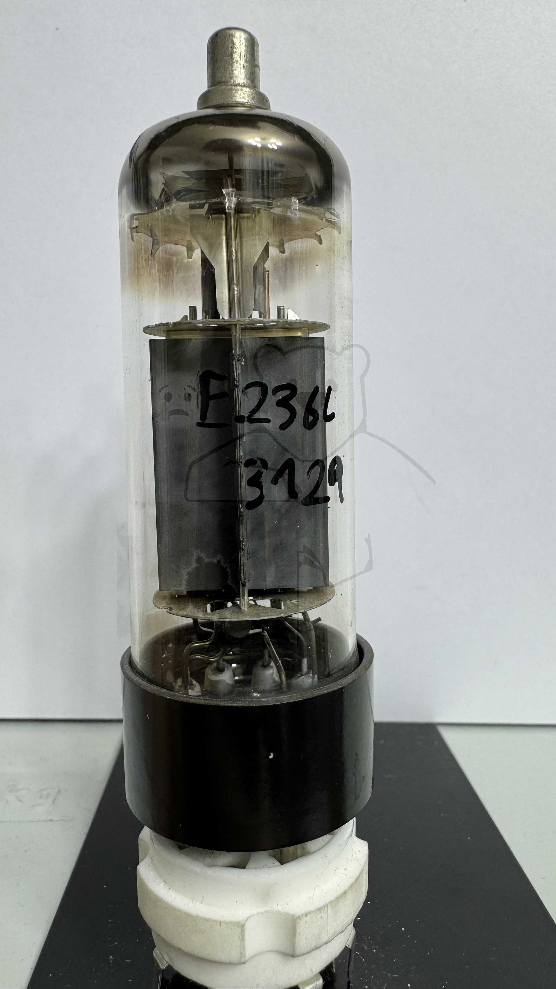 Röhre E236L #3129 Bild 3