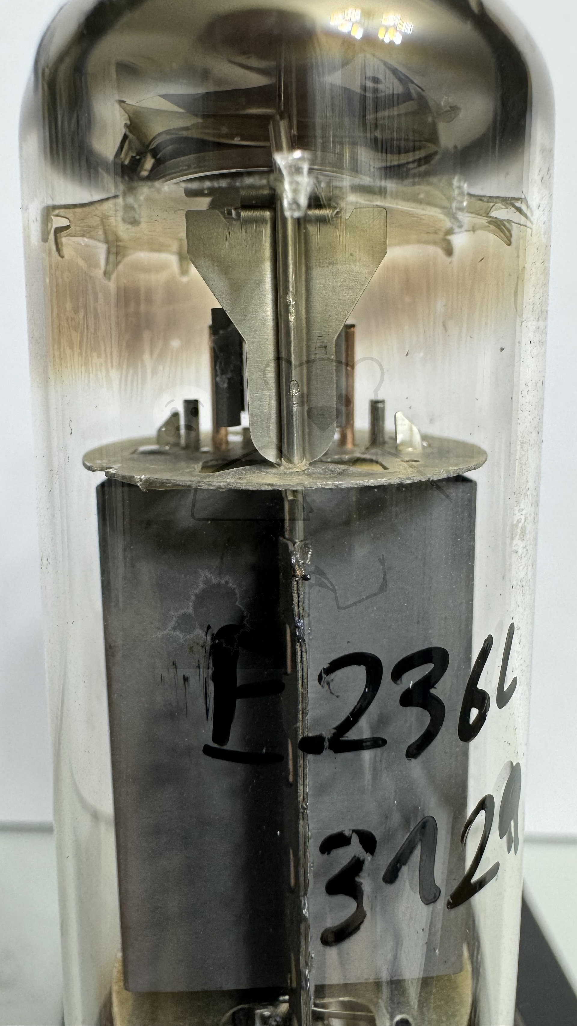 Röhre E236L #3129 Bild 4