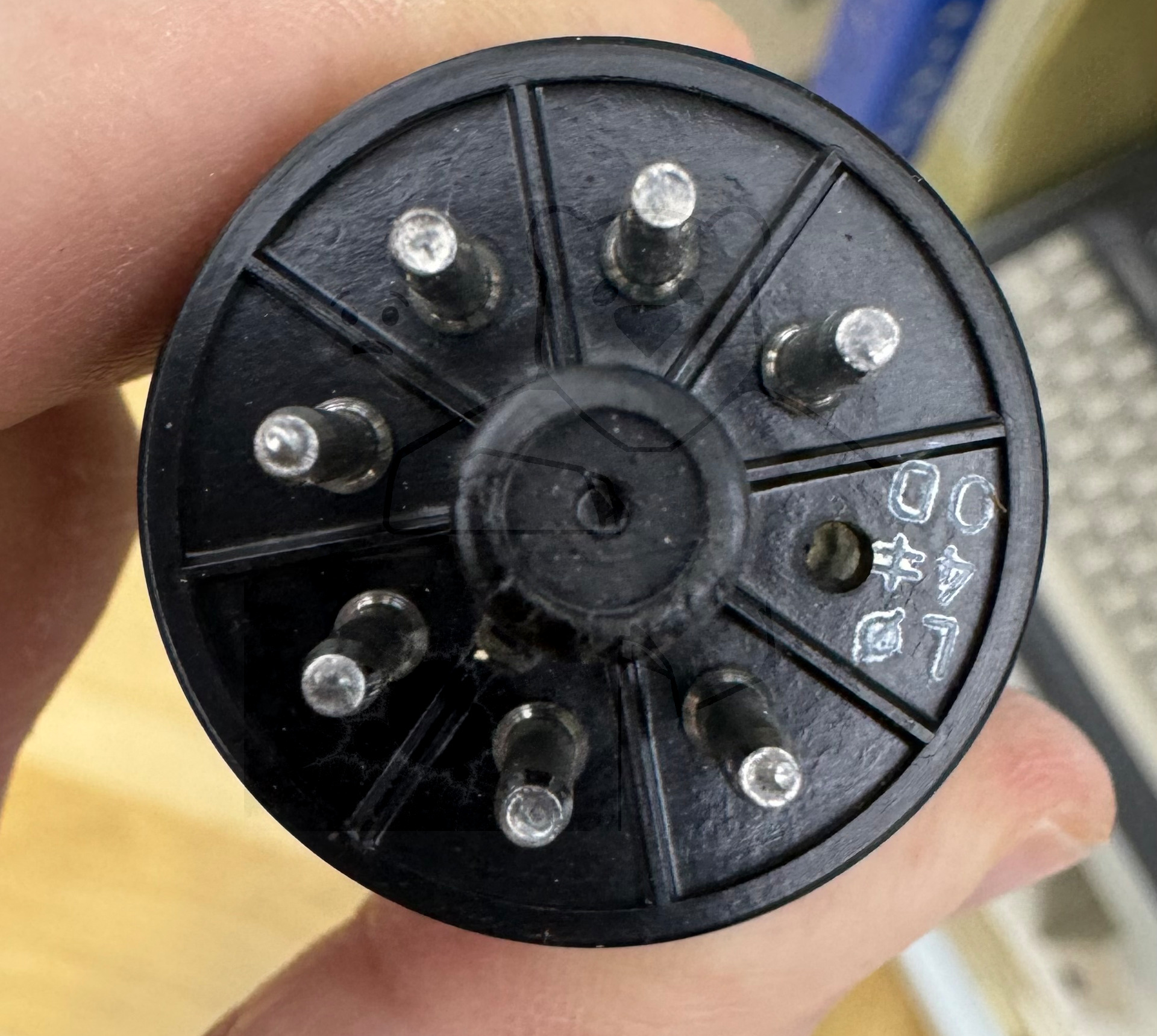 Röhre E236L #3129 Bild 7