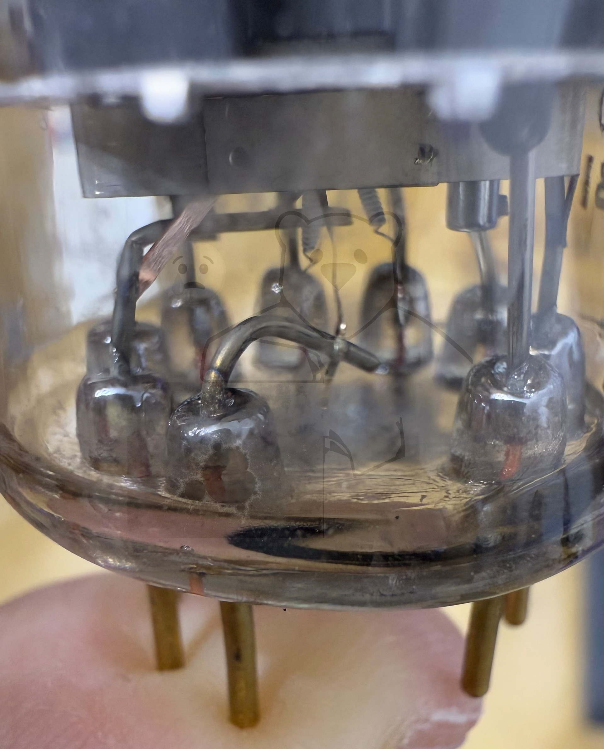 Röhre E55L #7232 Bild 11