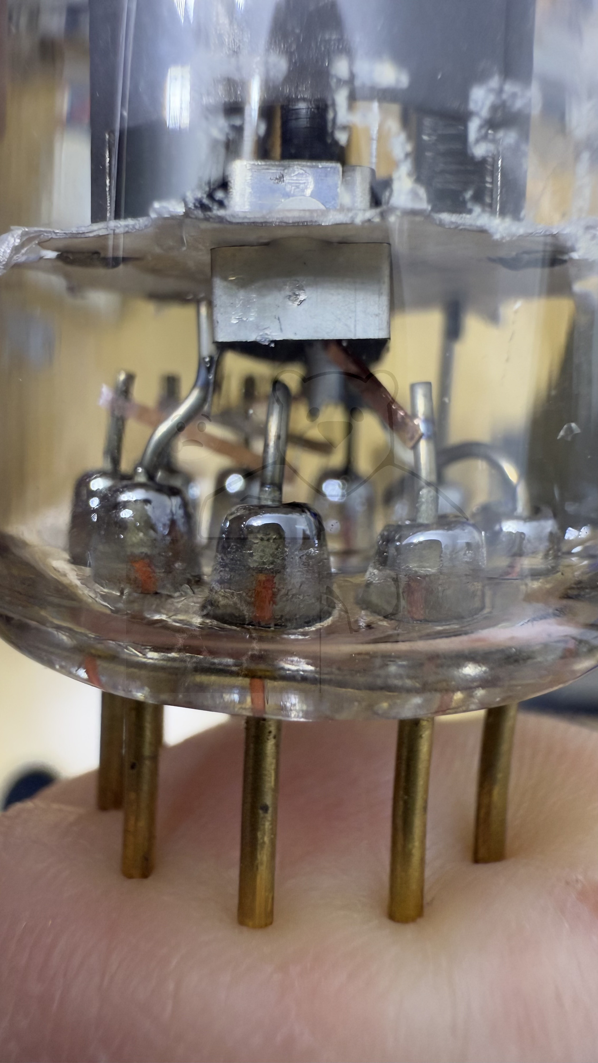 Röhre E55L #7232 Bild 17