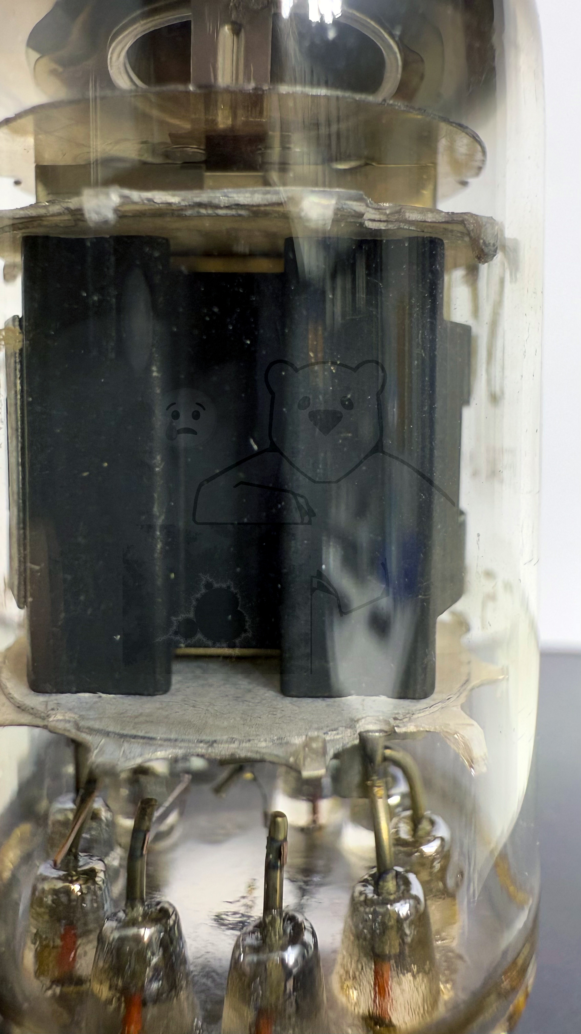 Röhre E55L #7232 Bild 3