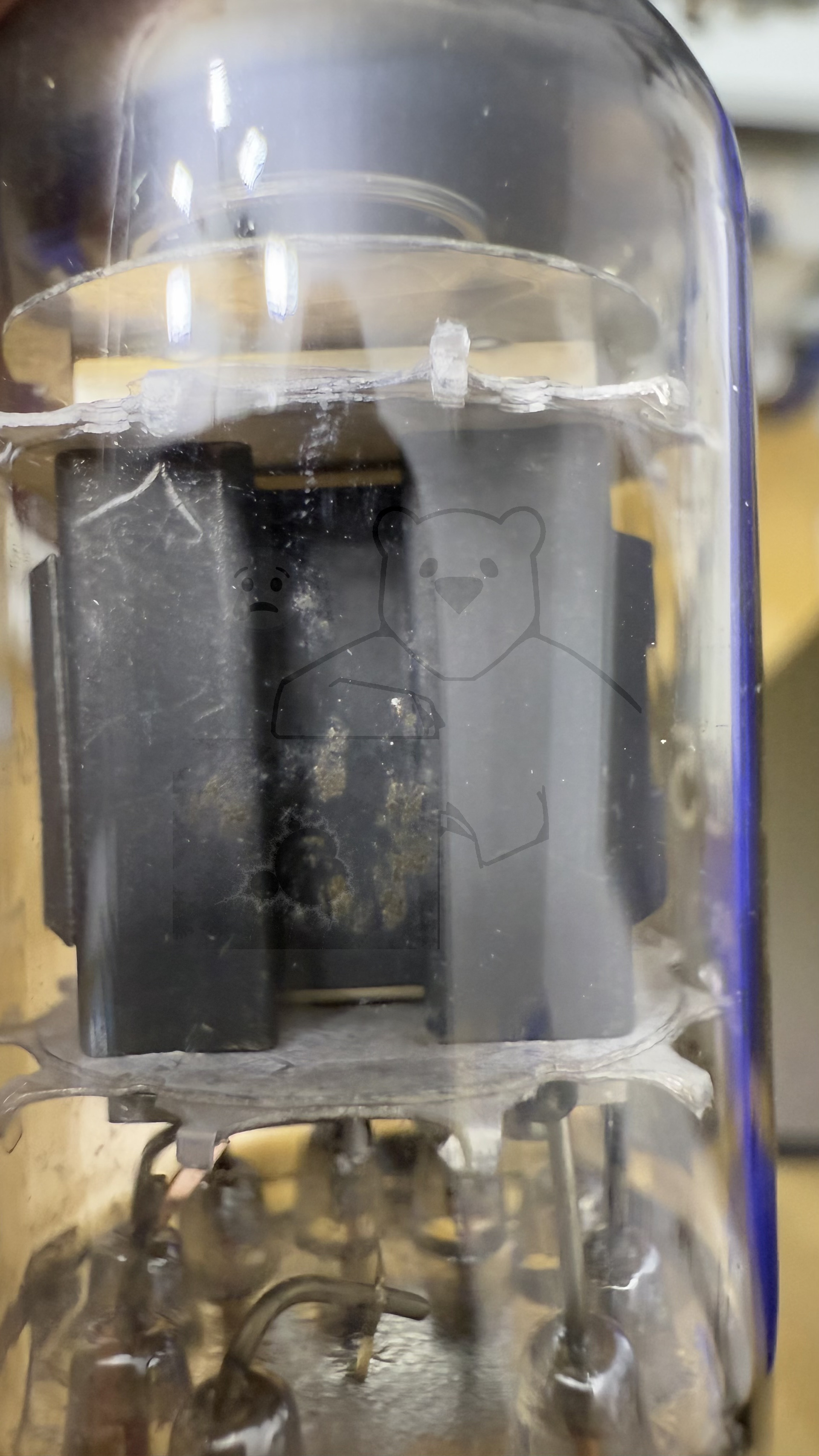 Röhre E55L #7232 Bild 8