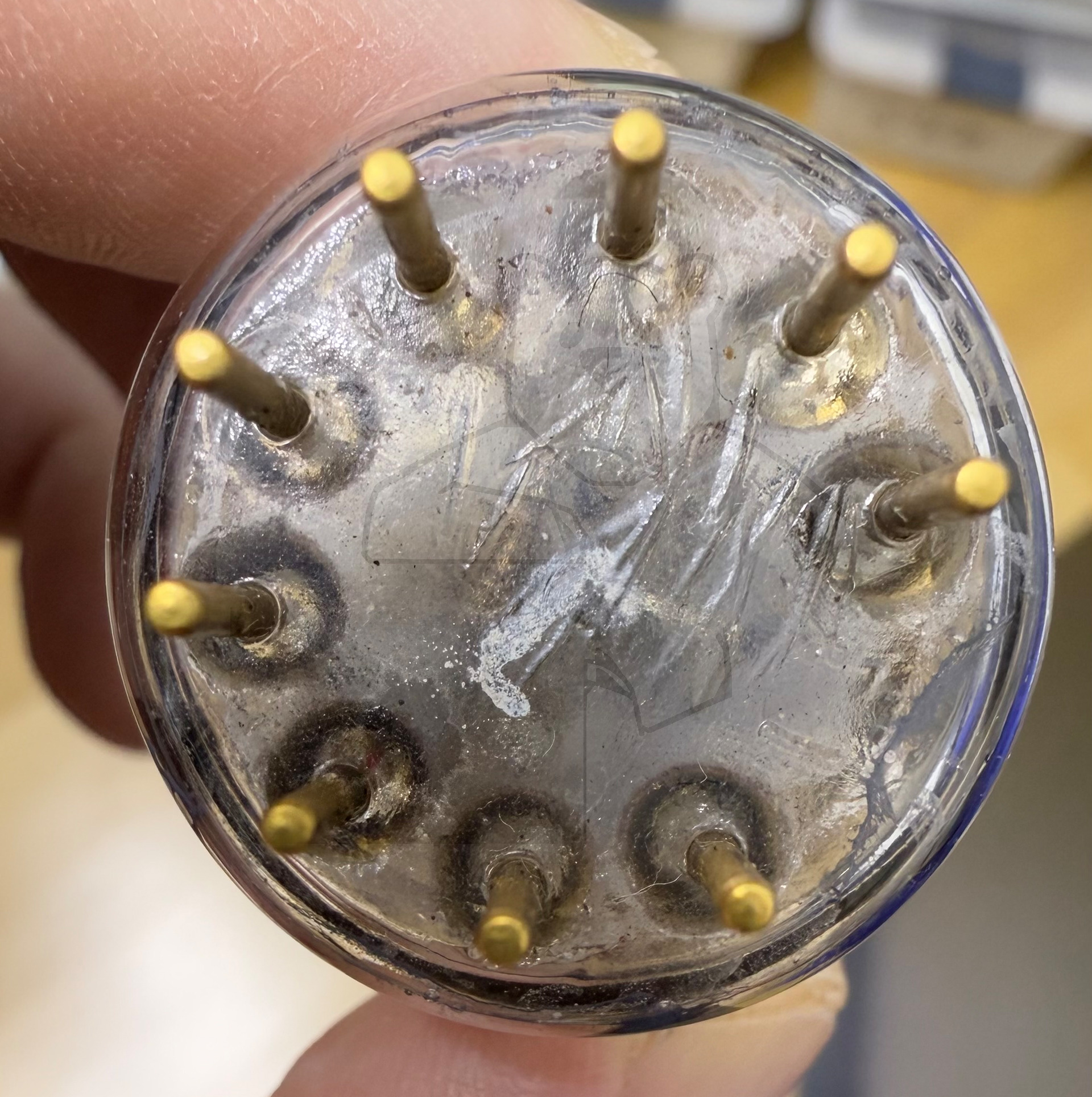 Röhre E55L #7233 Bild 12