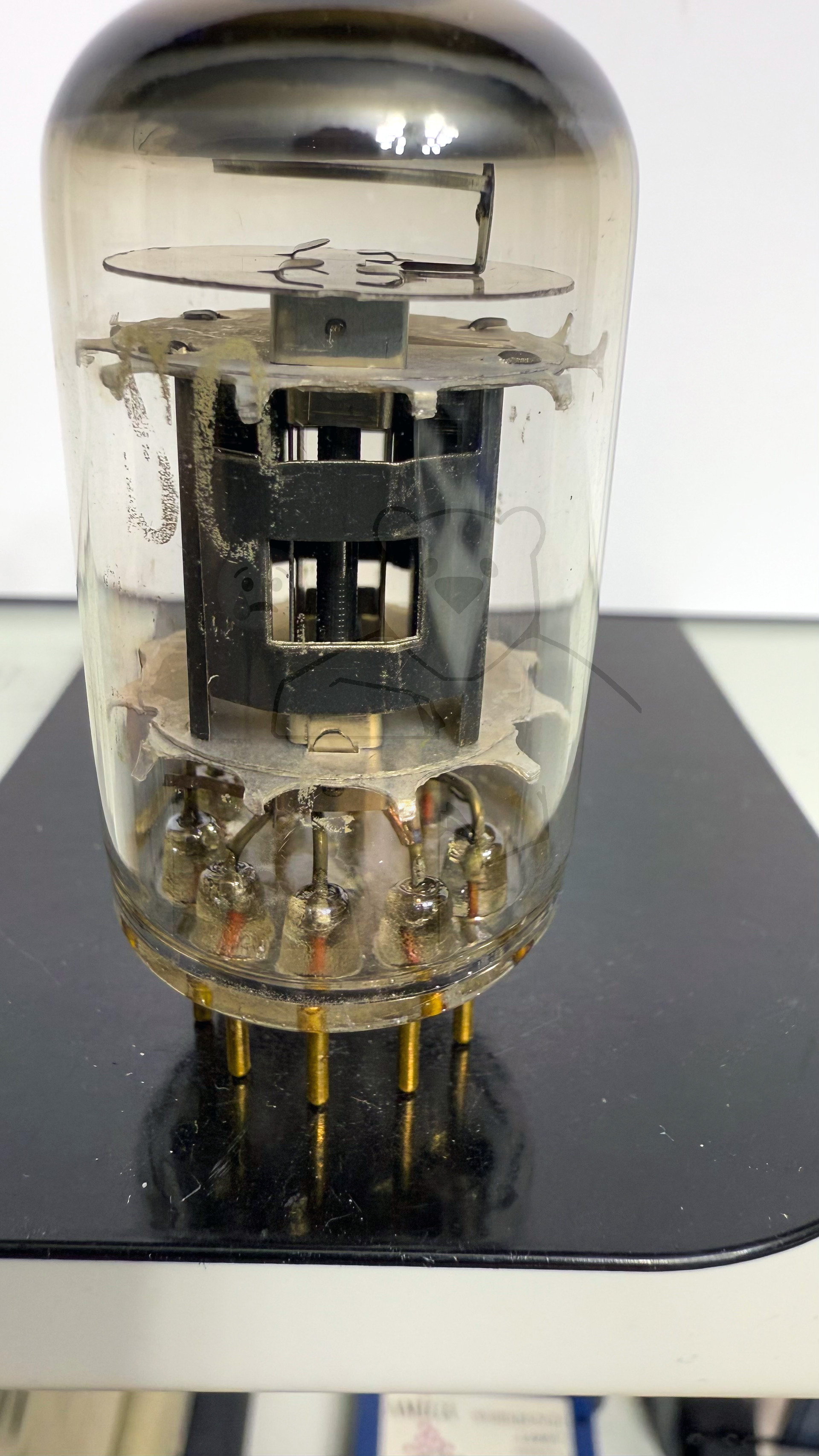 Röhre E55L #7233 Bild 4