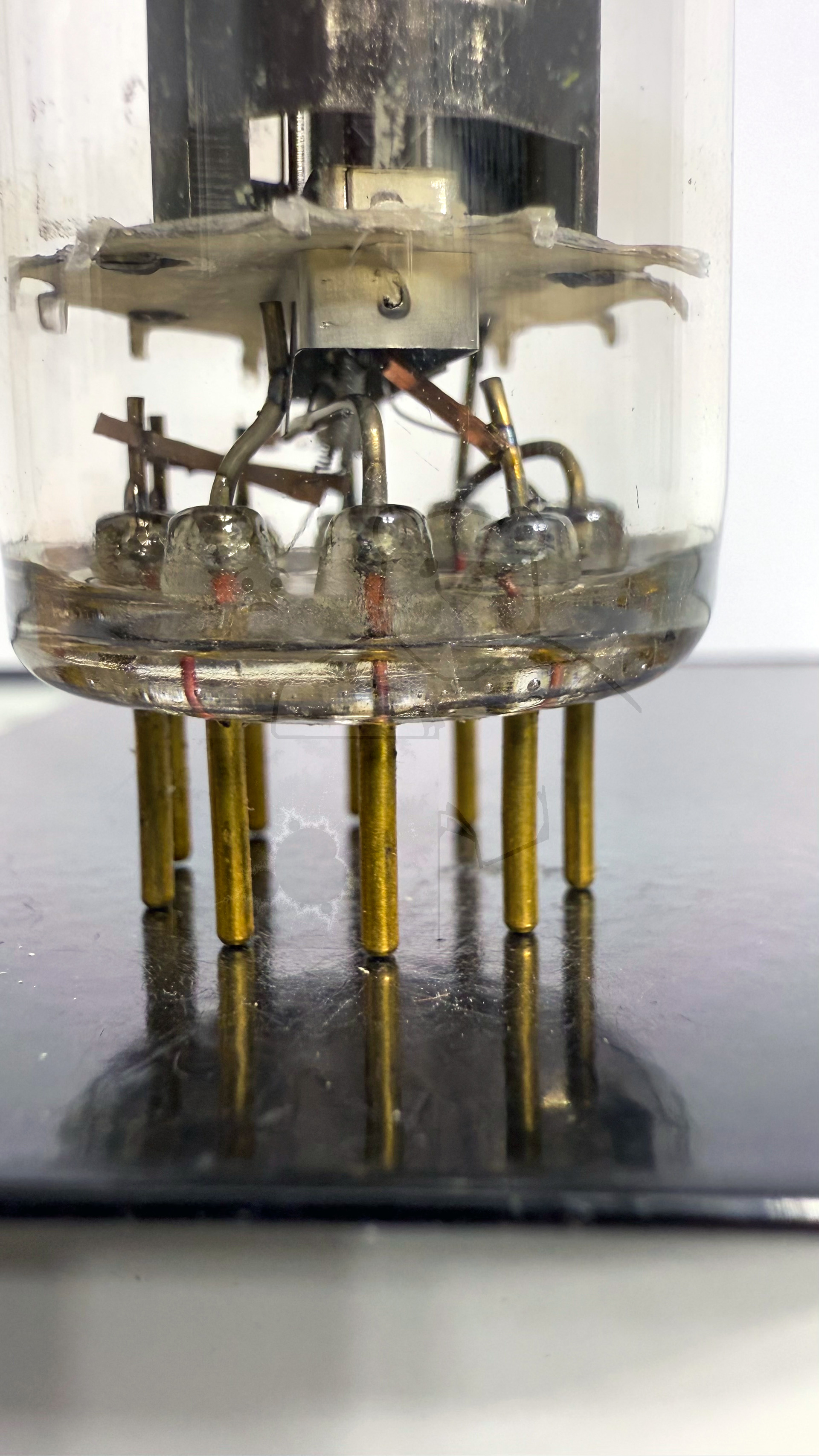 Röhre E55L #7233 Bild 6