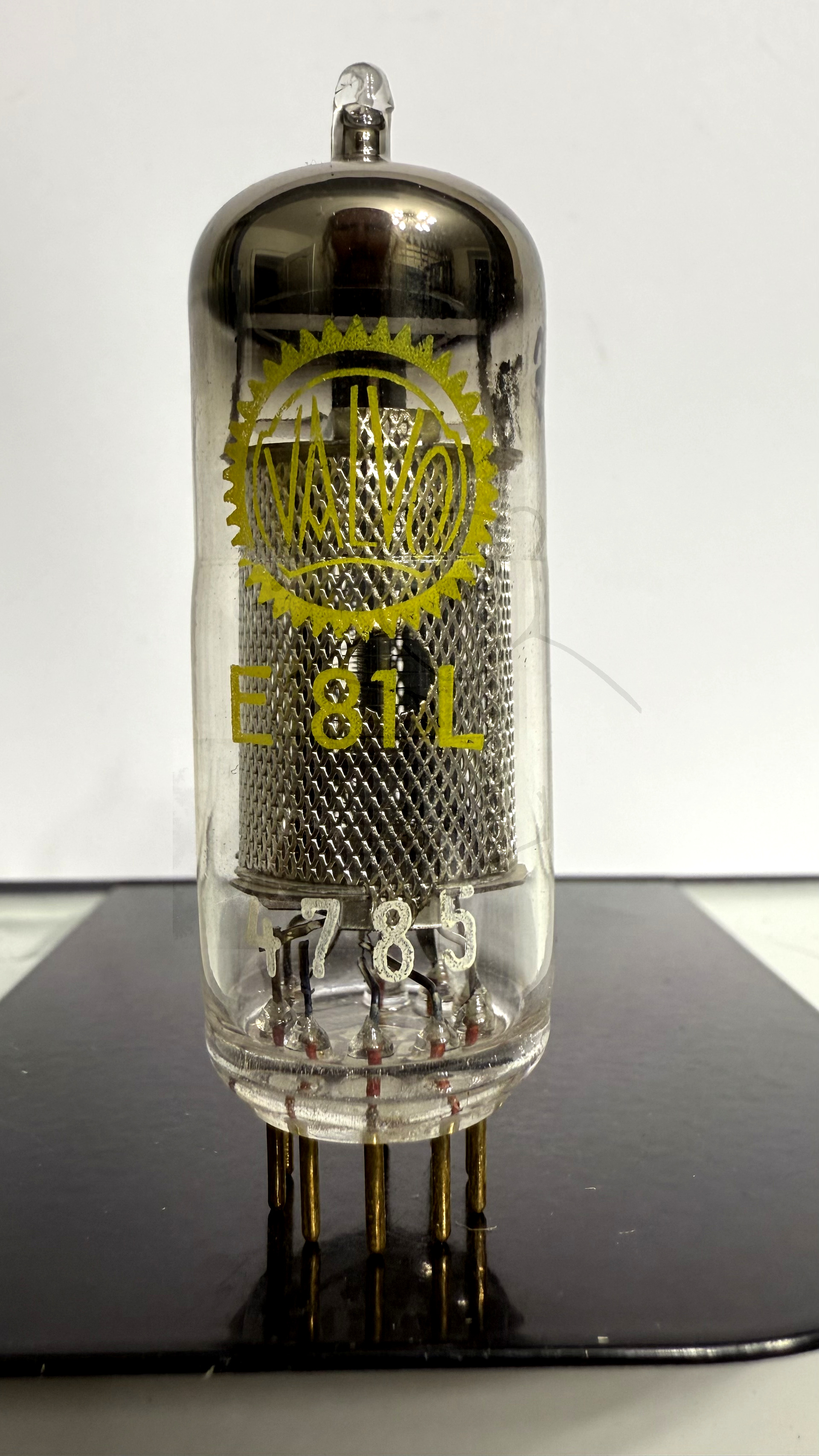 Röhre E81L #3381 Bild 1