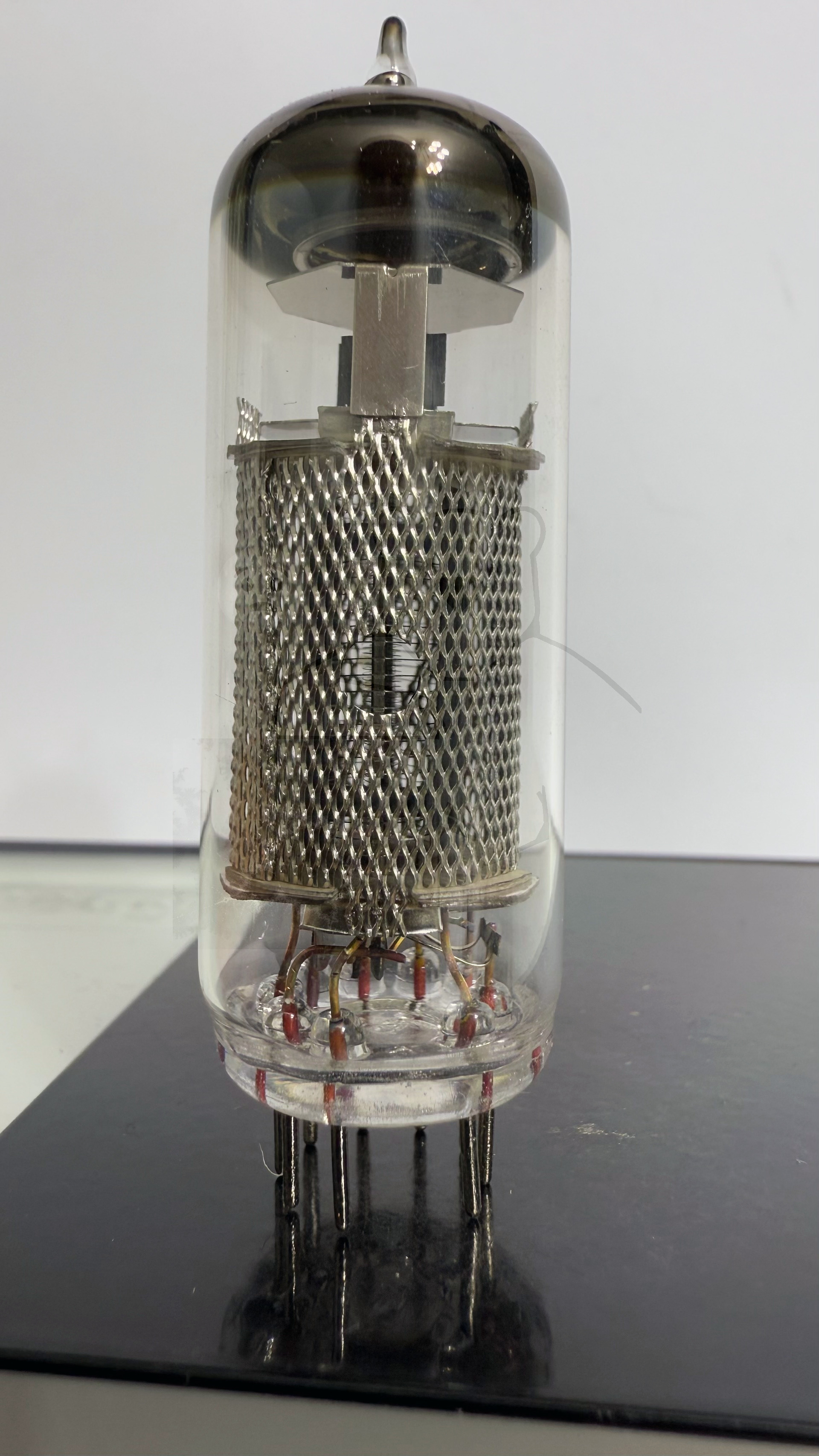 Röhre E81L #8073 Bild 3