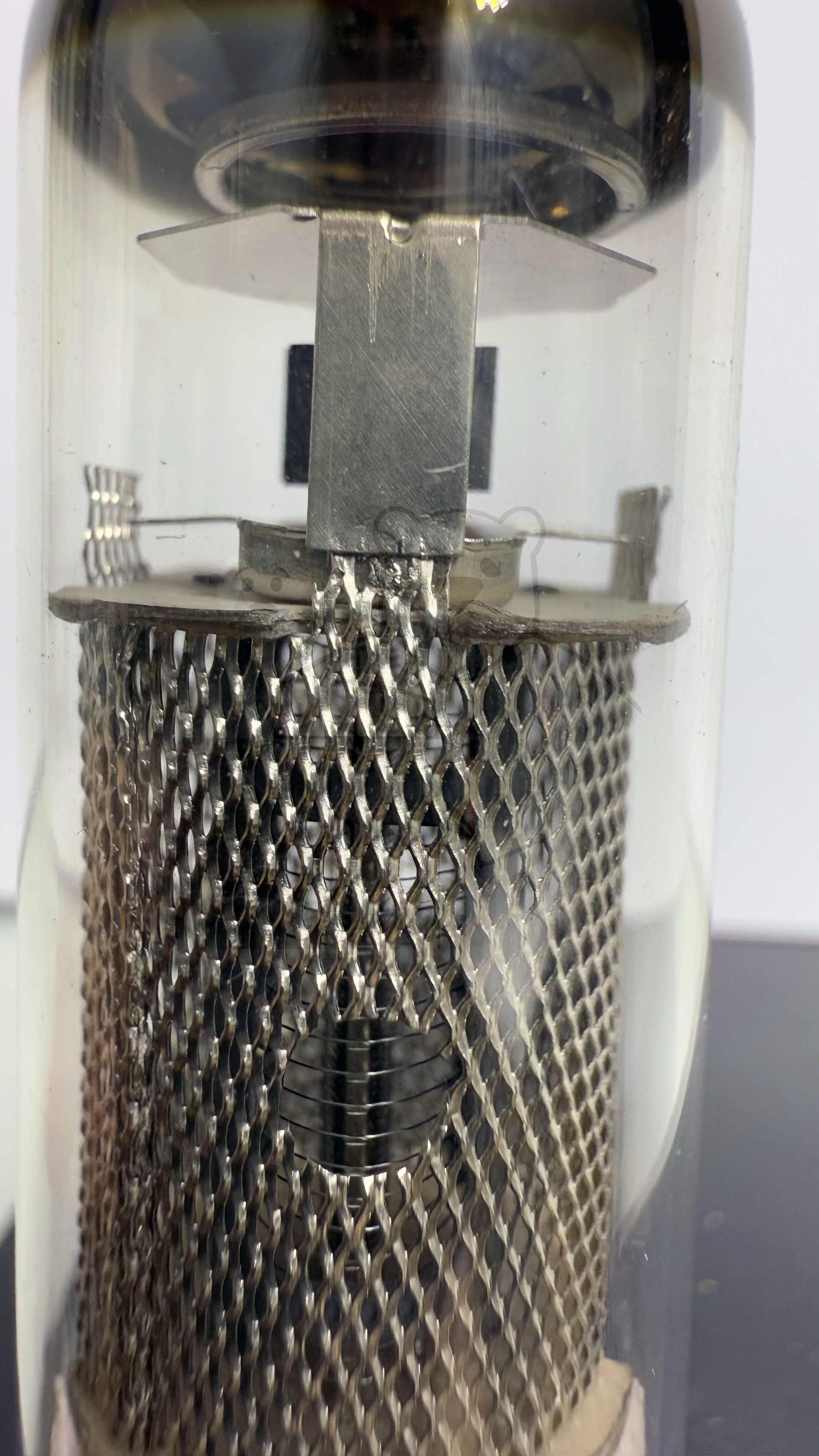 Röhre E81L #8073 Bild 4