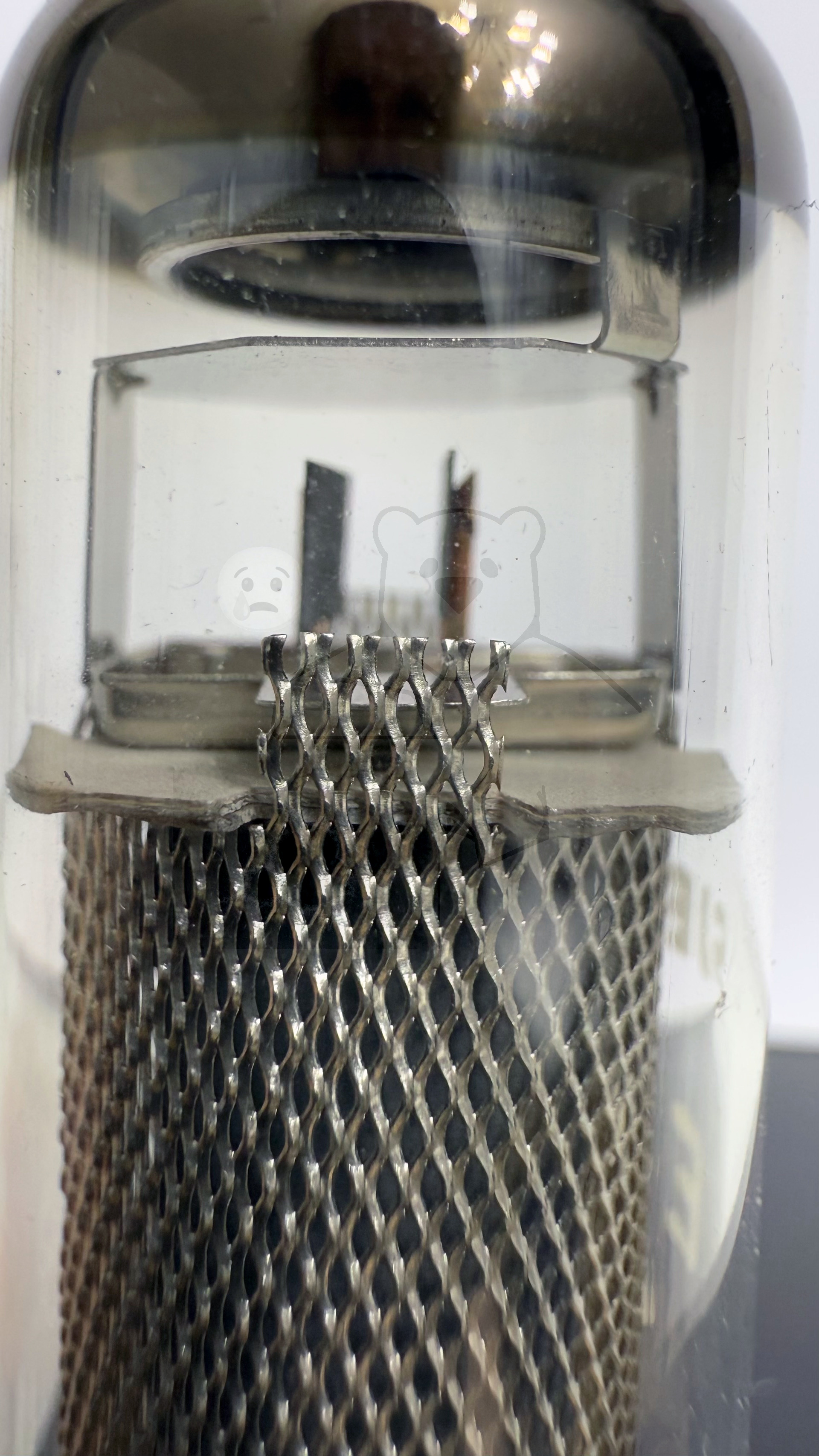 Röhre E81L #8073 Bild 6