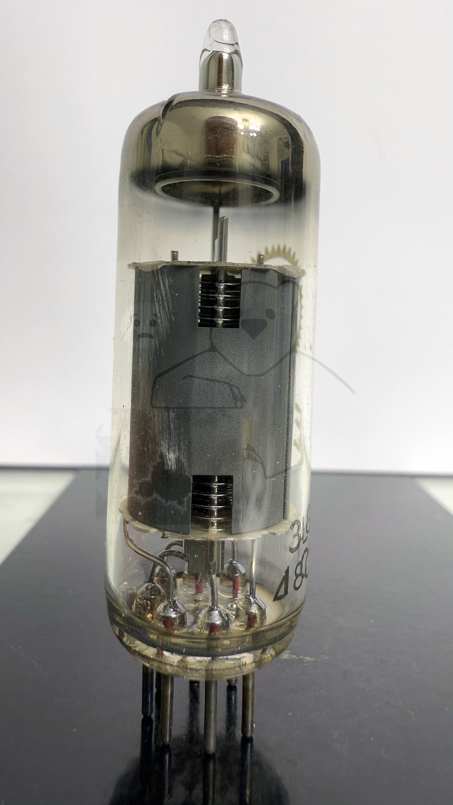 Röhre E91H #7895 Bild 3