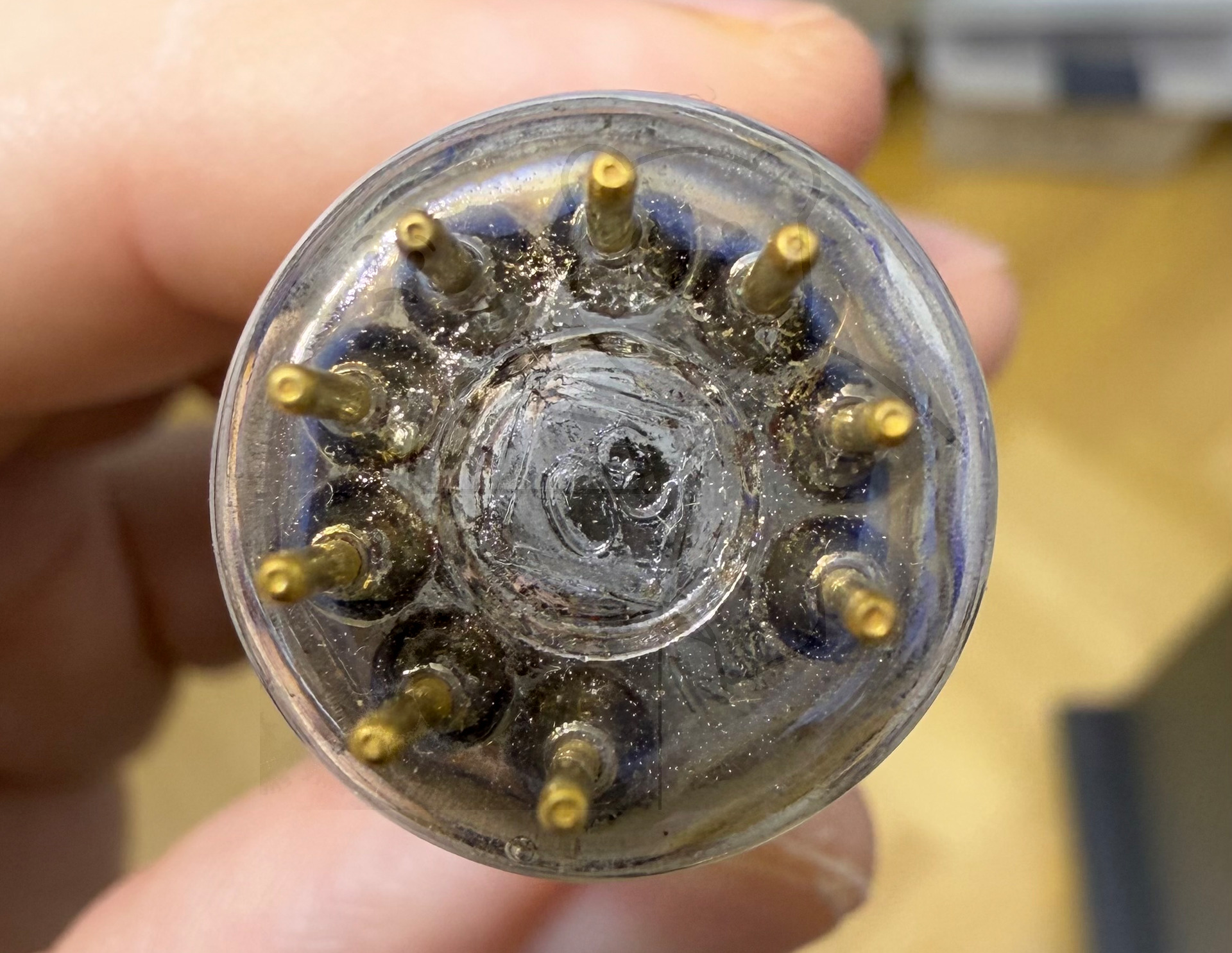 Röhre ECC8100 #7510 Bild 12