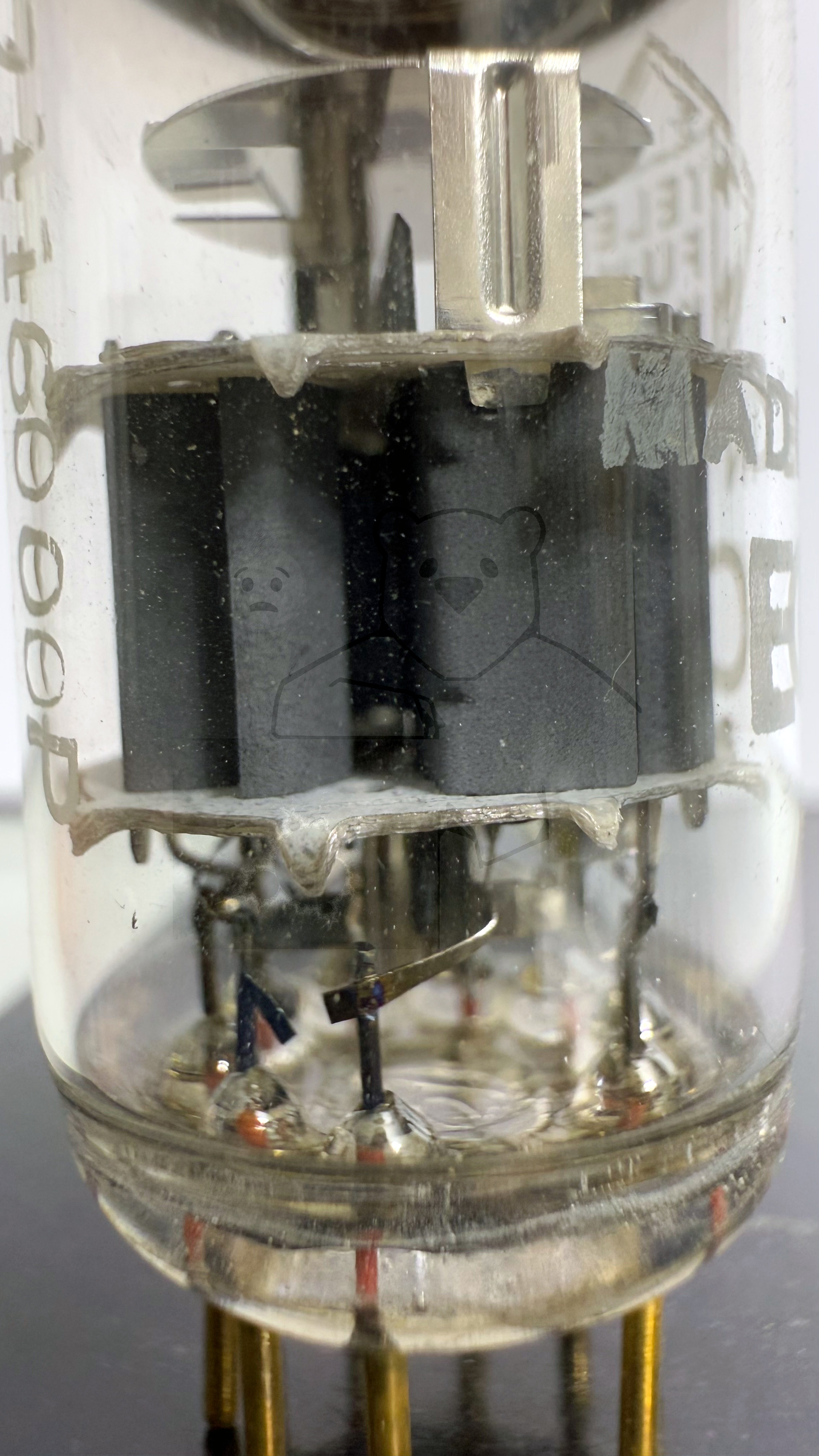 Röhre ECC8100 #7510 Bild 7