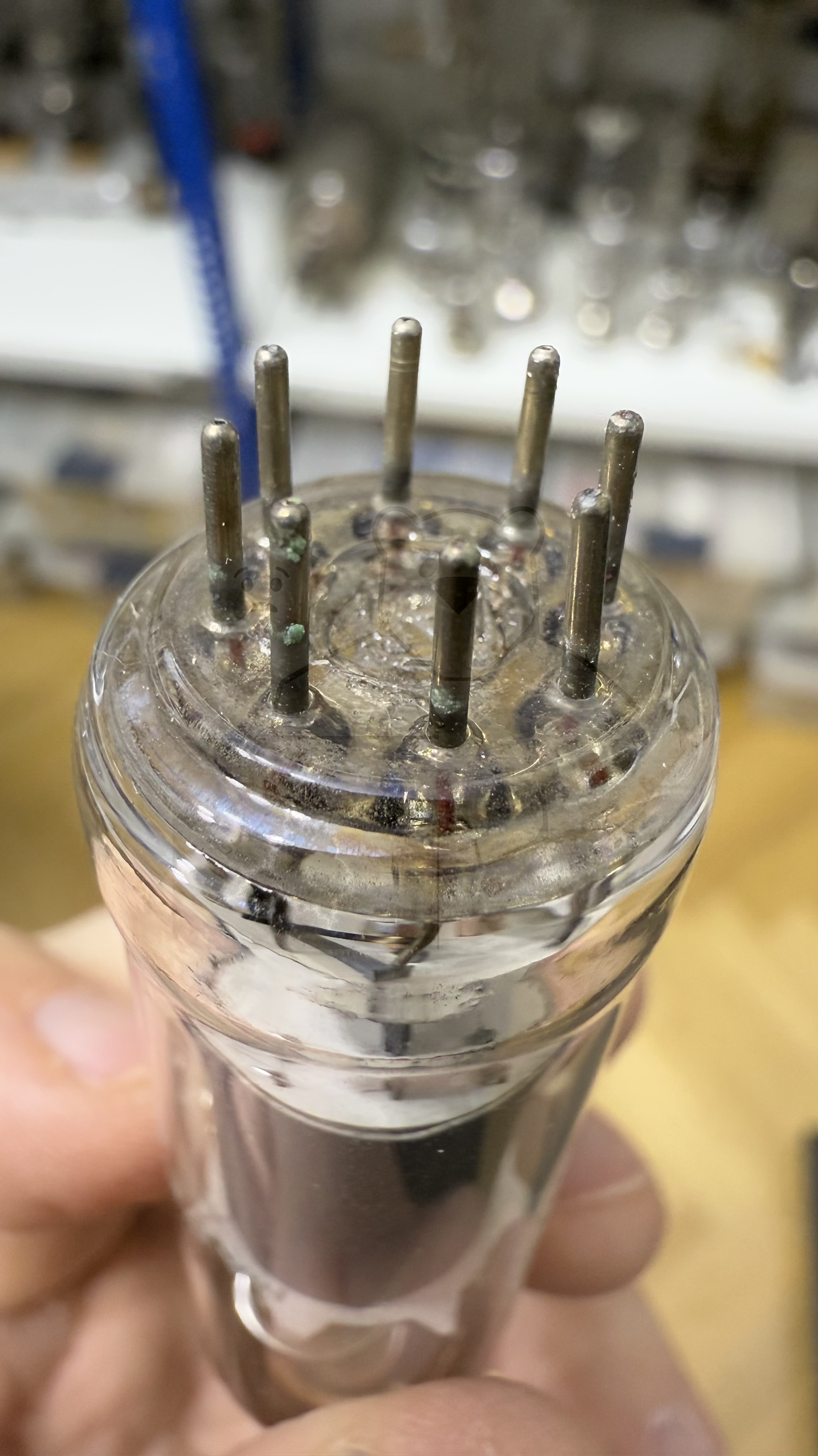 Röhre ECL113 #3337 Bild 15