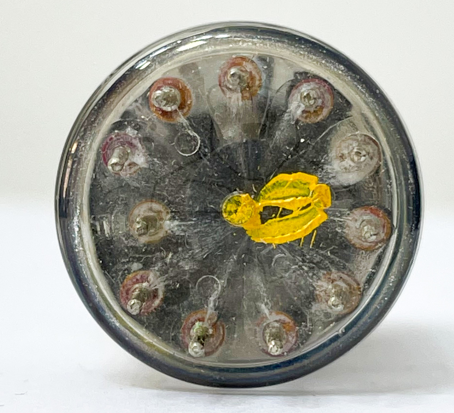 Röhre EF174 #7775 Bild 4