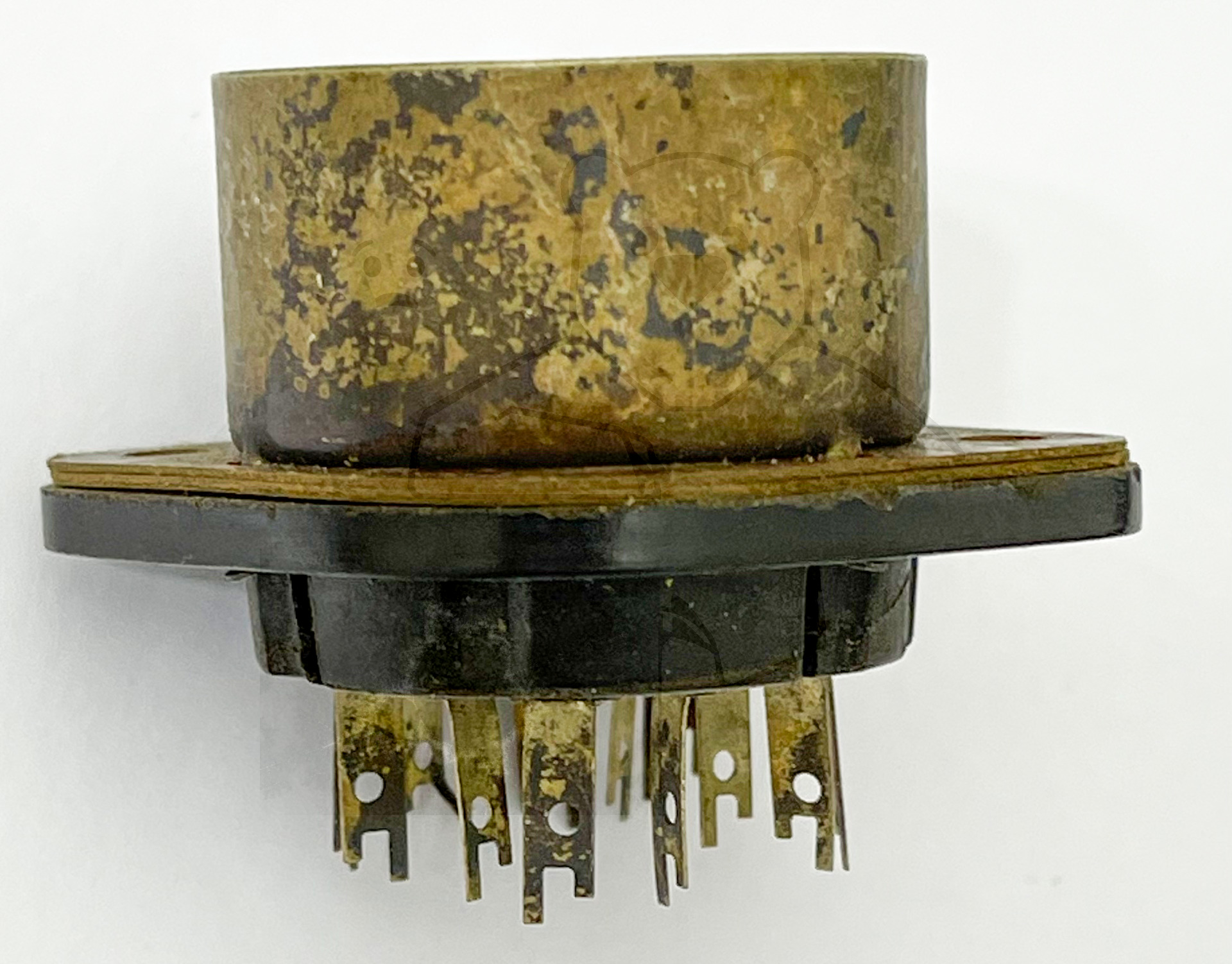 Röhre EF174 #7775 Gnome Fassung Bild 2