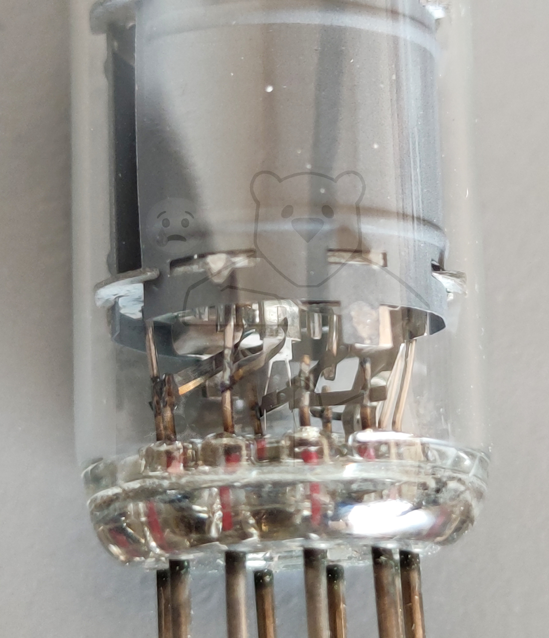 Röhre EF800 Bild von Gerieth Schlosser 3