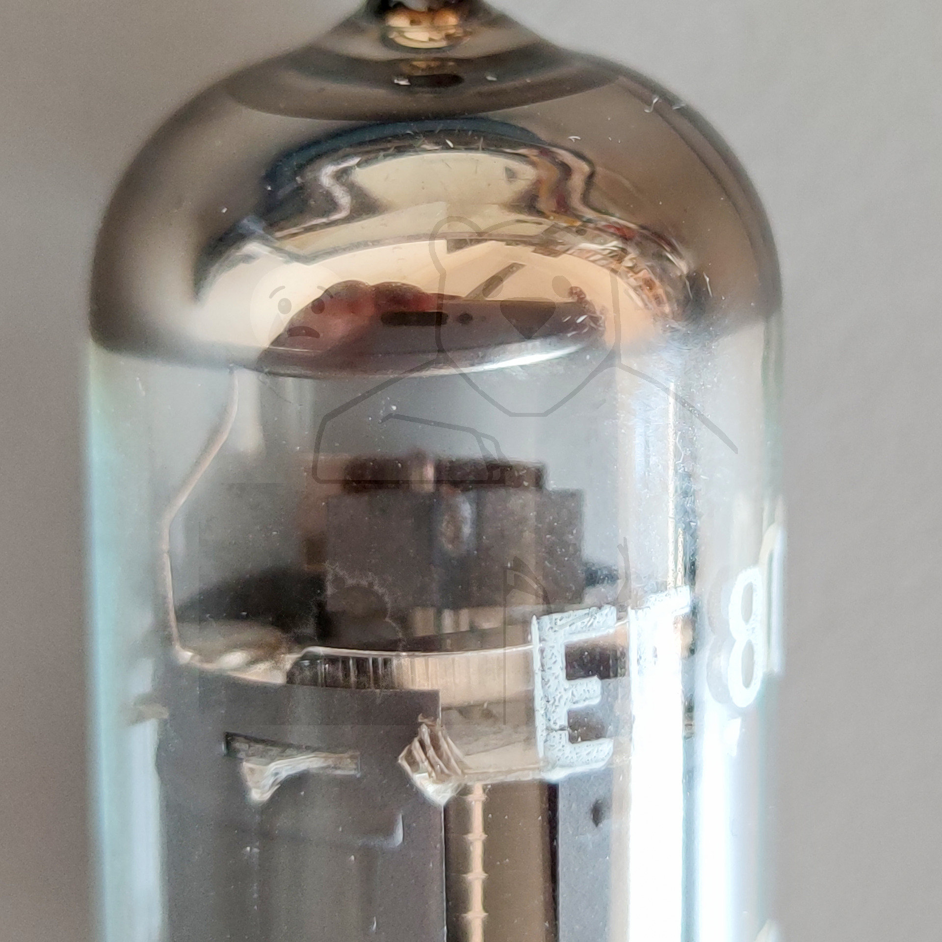 Röhre EF800 Bild von Gerieth Schlosser 5