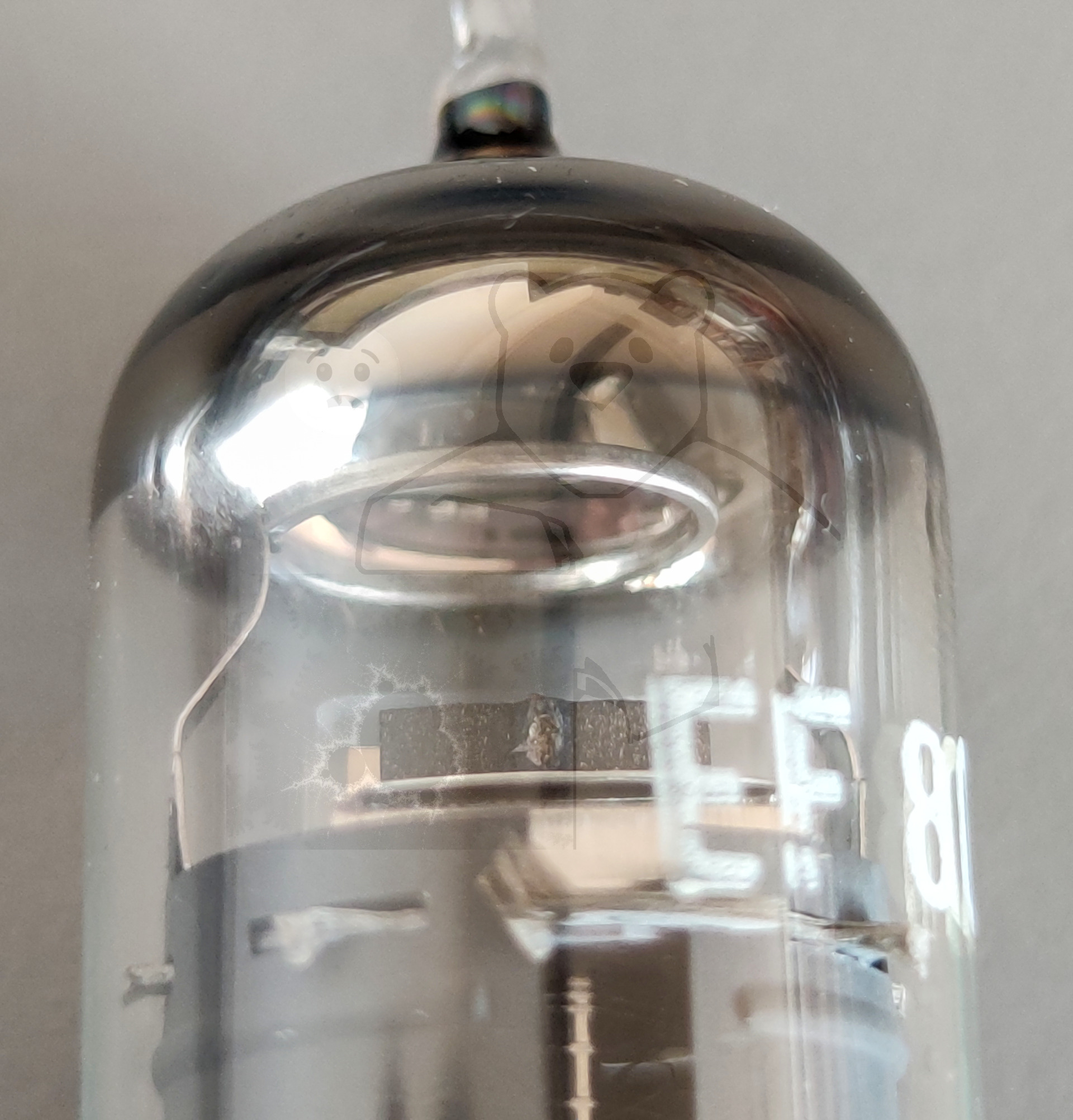 Röhre EF800 Bild von Gerieth Schlosser 7