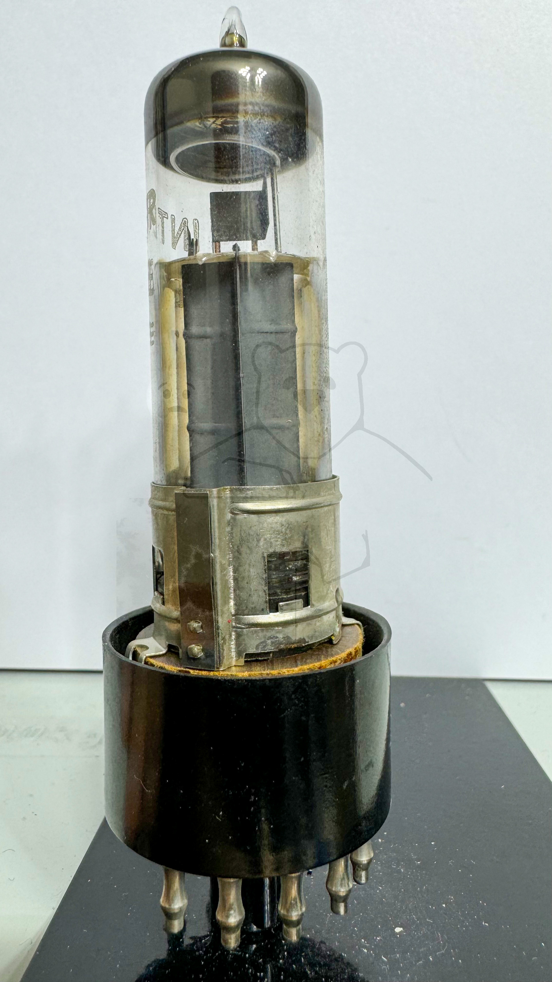 Röhre EL11E #6506 Komplett Bild 2