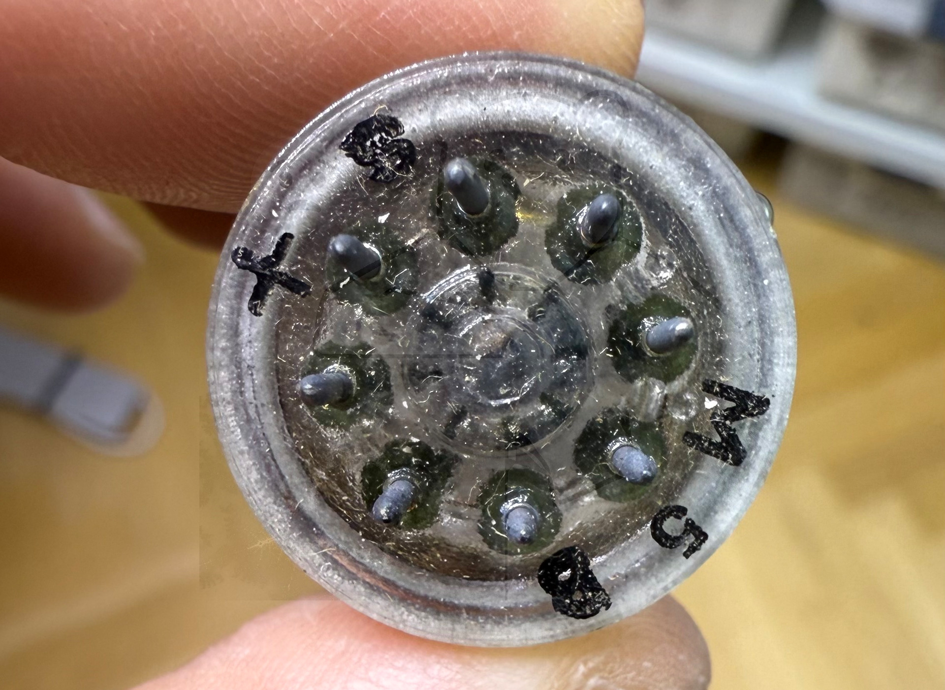 Röhre EL42 #4459 Bild 5