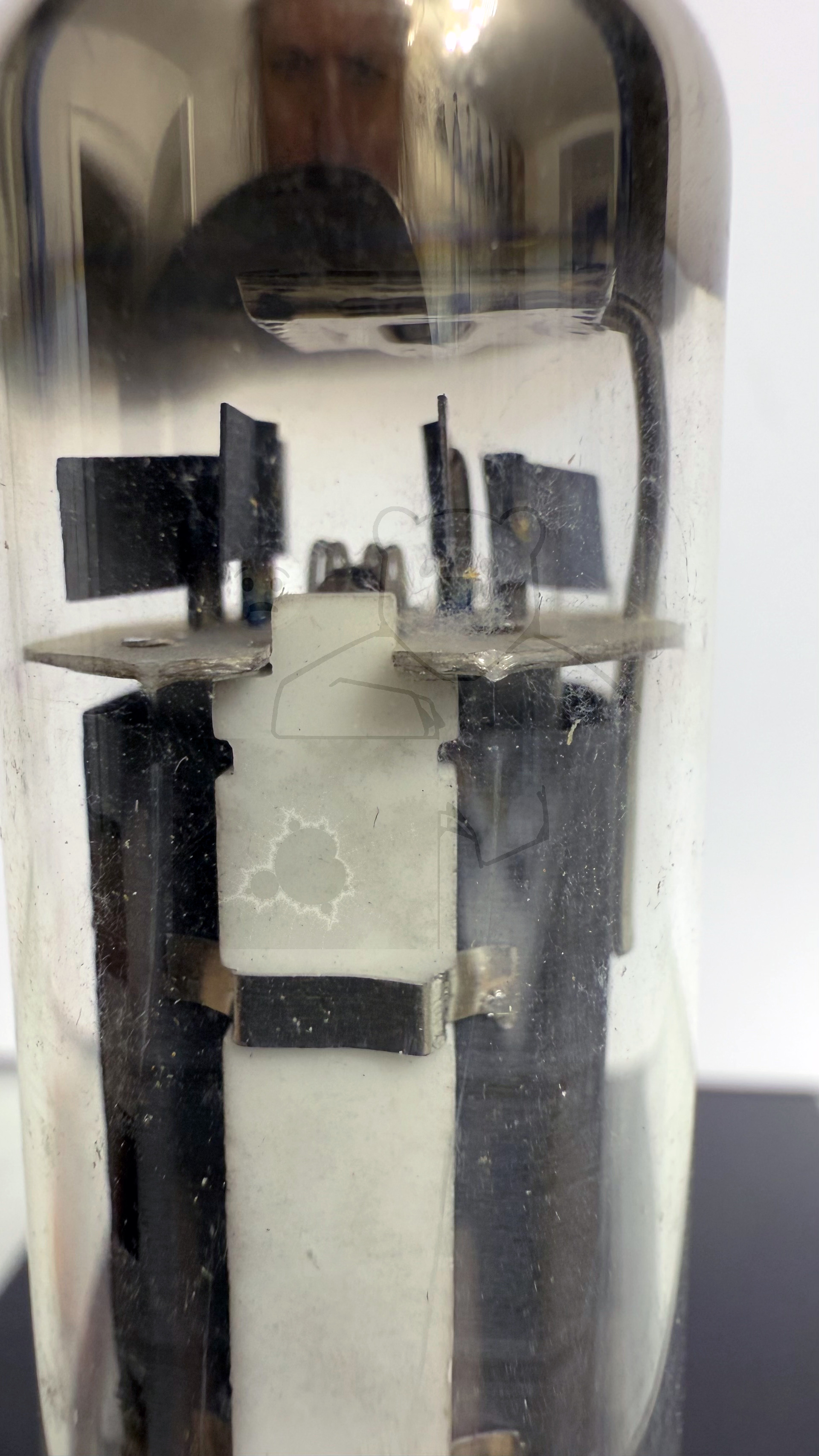 Röhre EL81C #4556 Bild 7