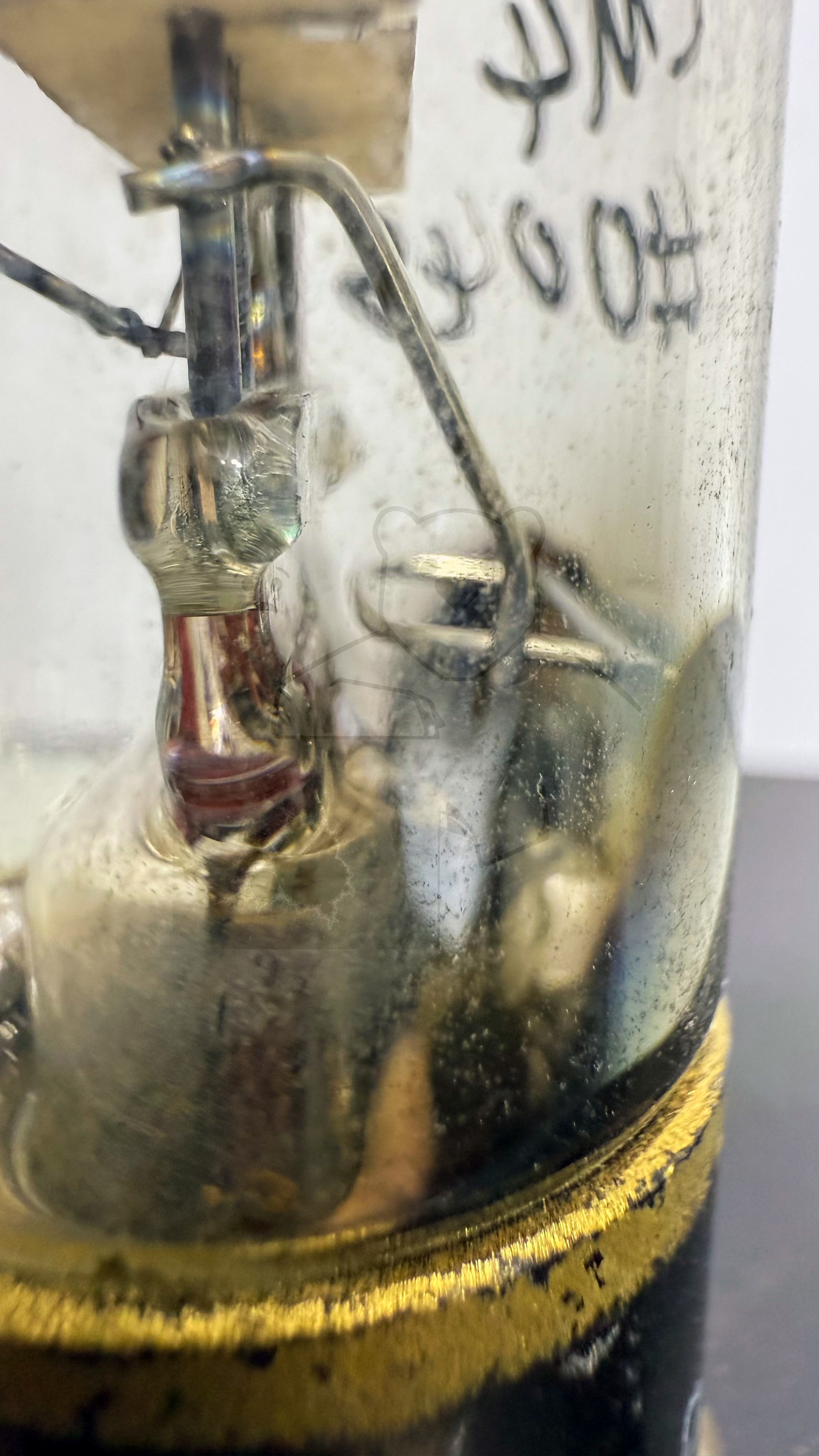 Röhre EM4 #0043 Bild 6