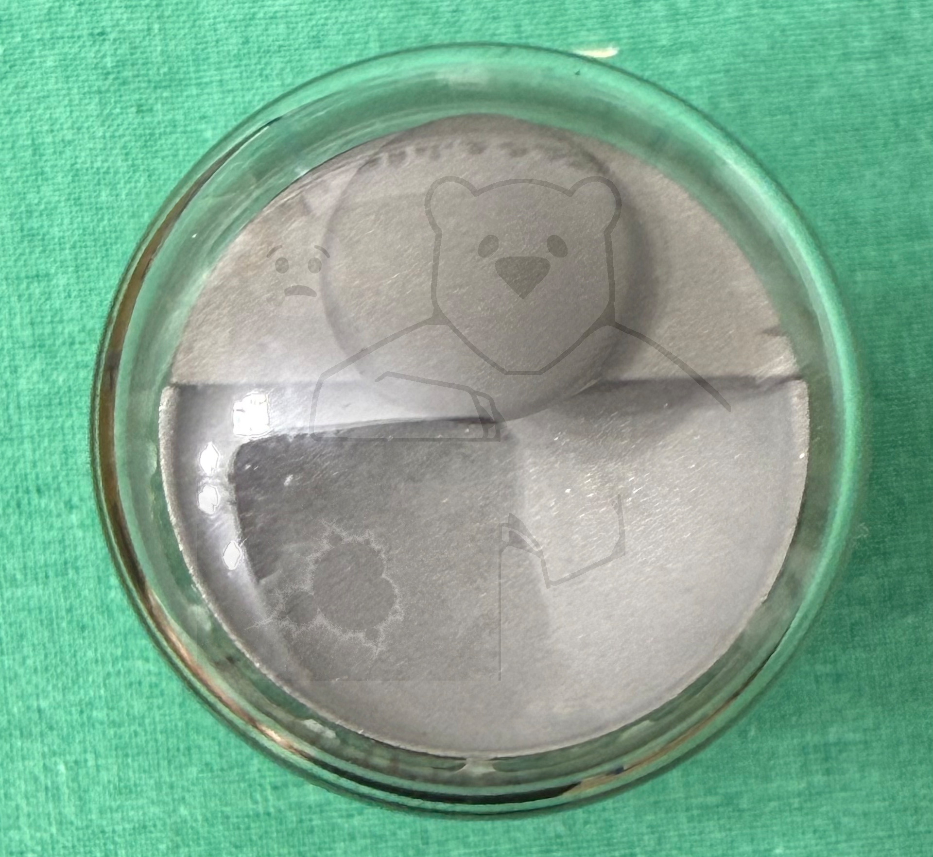 Röhre EM71 #0035 Bild 6