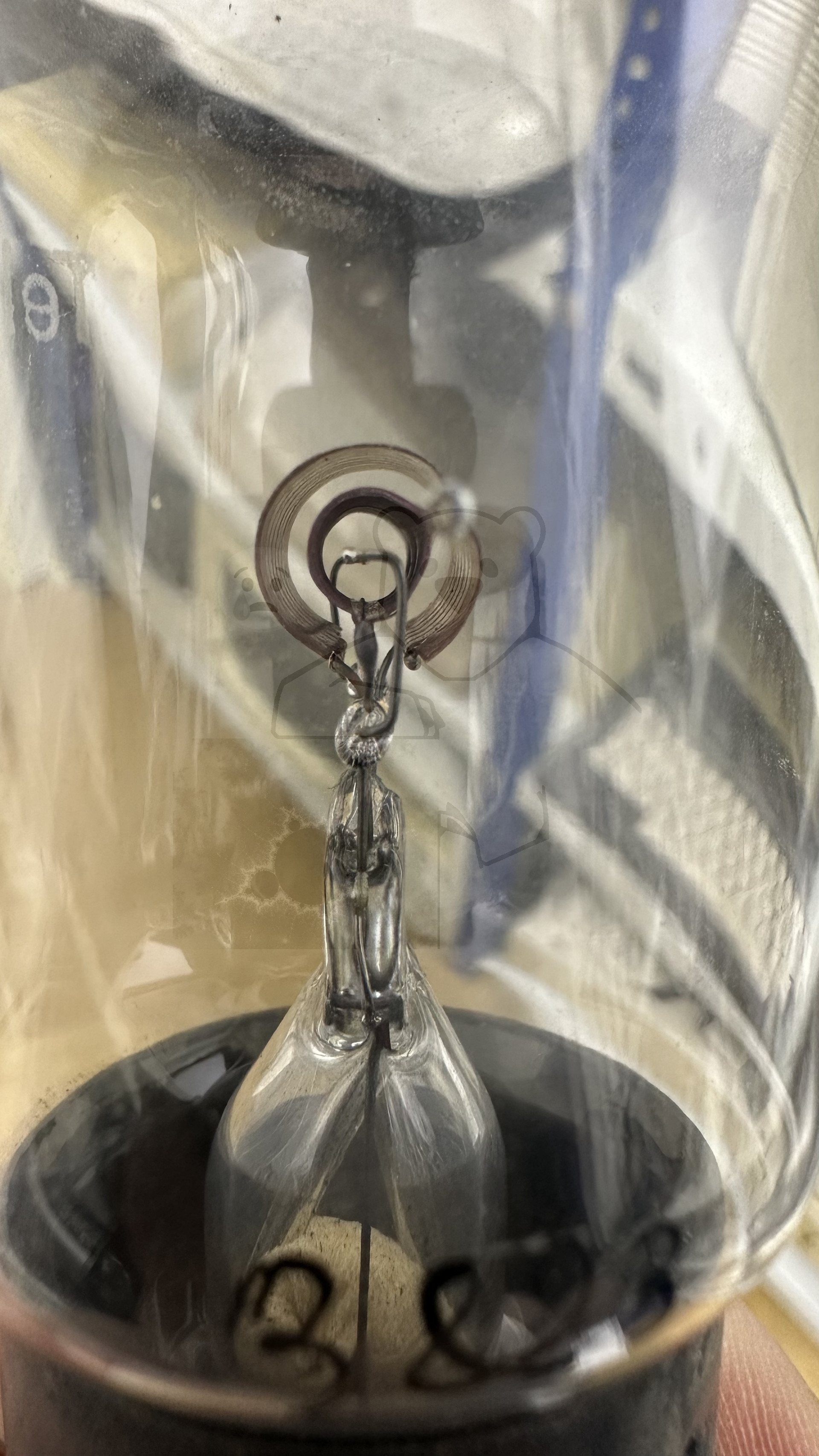 Röhre EVE173 #3823 Bild 5