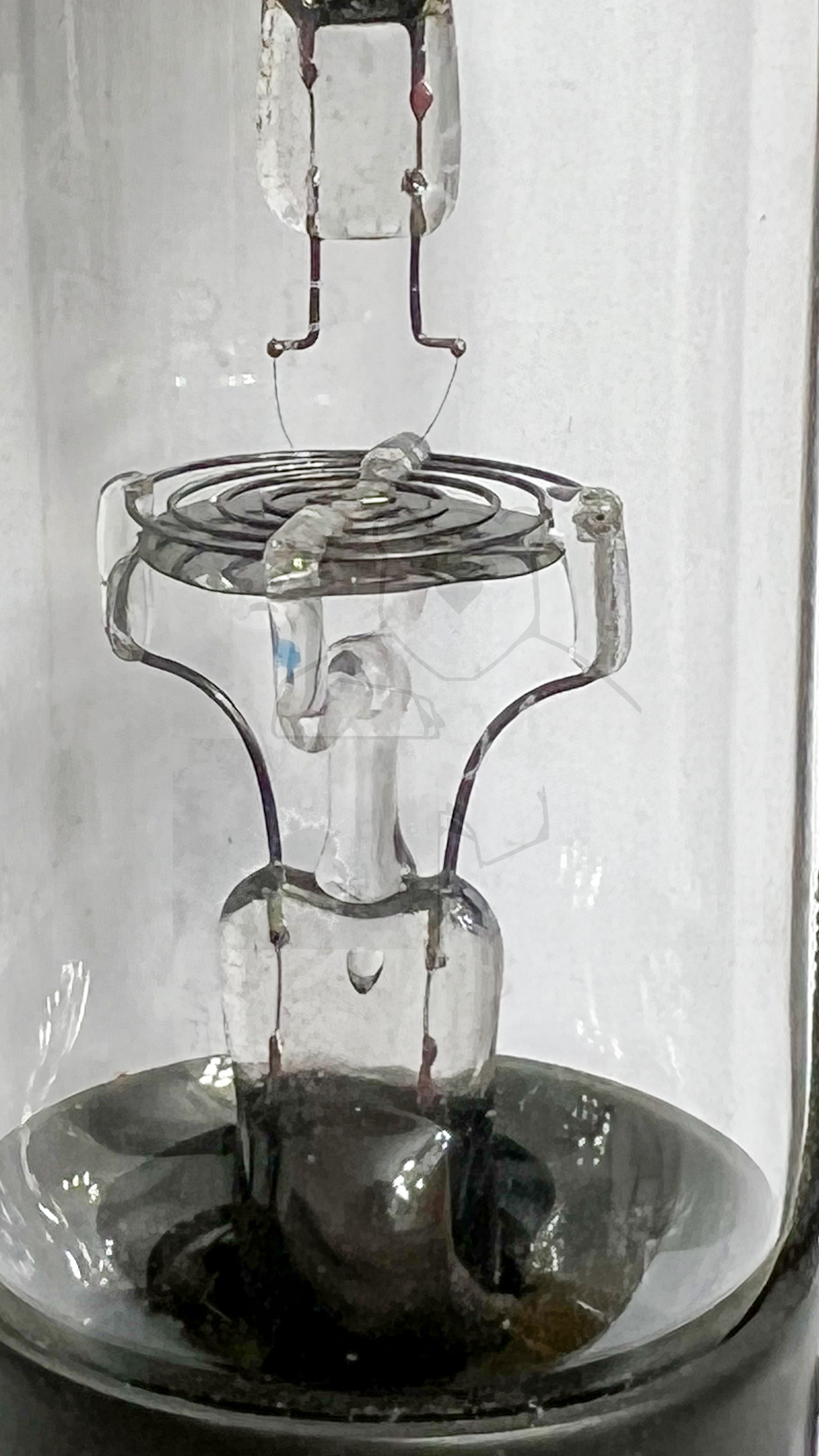 Röhre EVN94 #7557 Bild 02