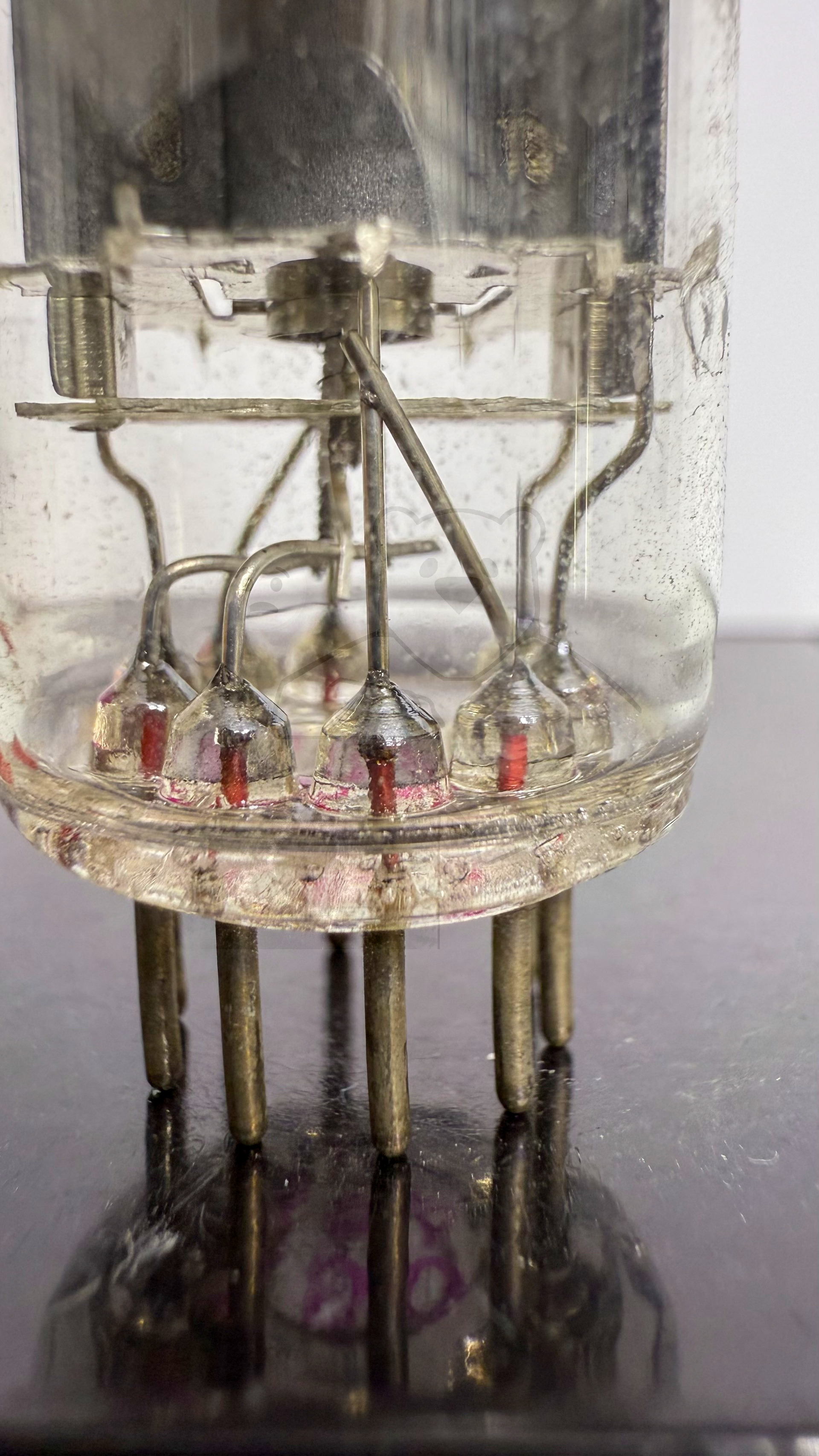 Röhre EY88 #3521 Experimentel Valve Bild 5