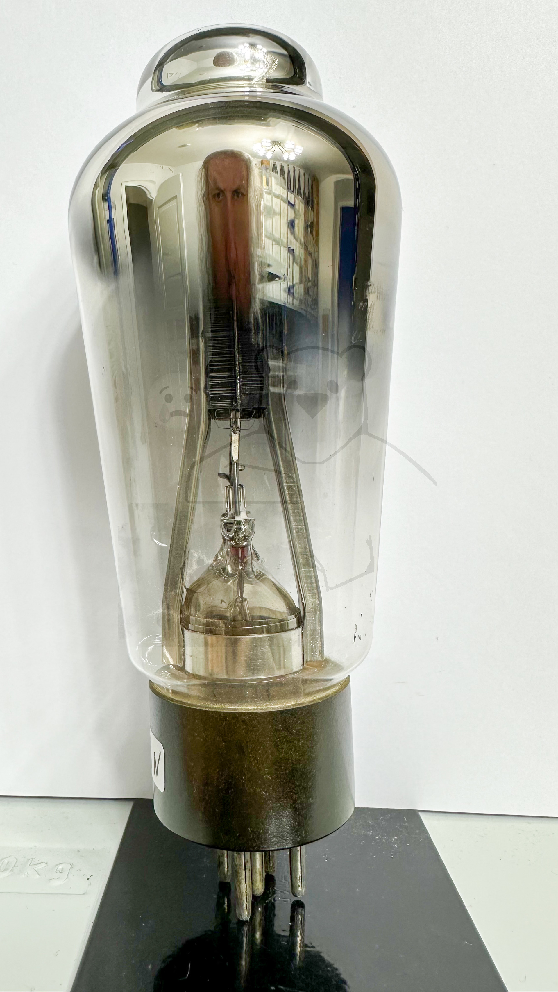 Röhre F443N #6650 Bild 2