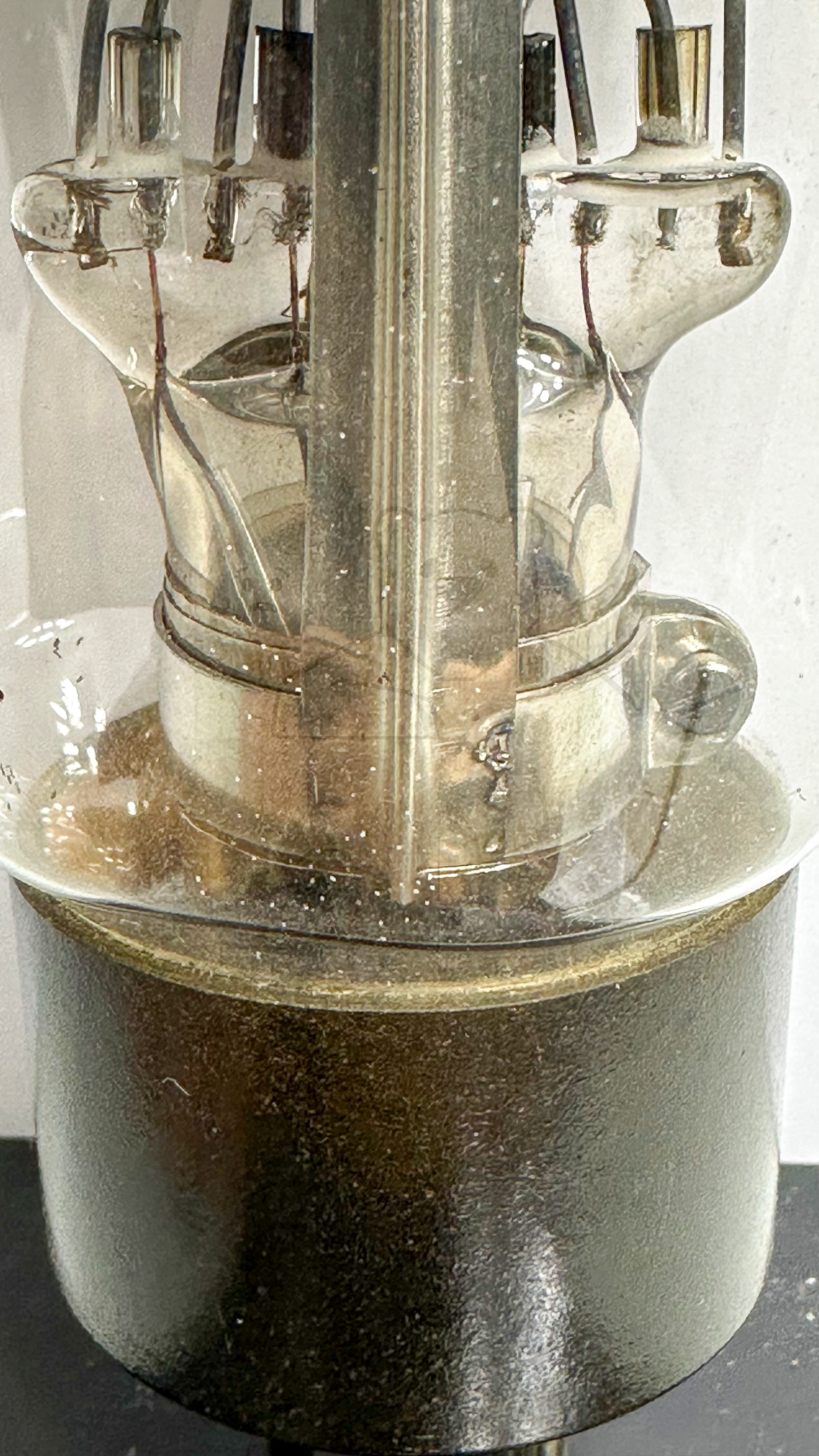 Röhre F443N #6650 Bild 4