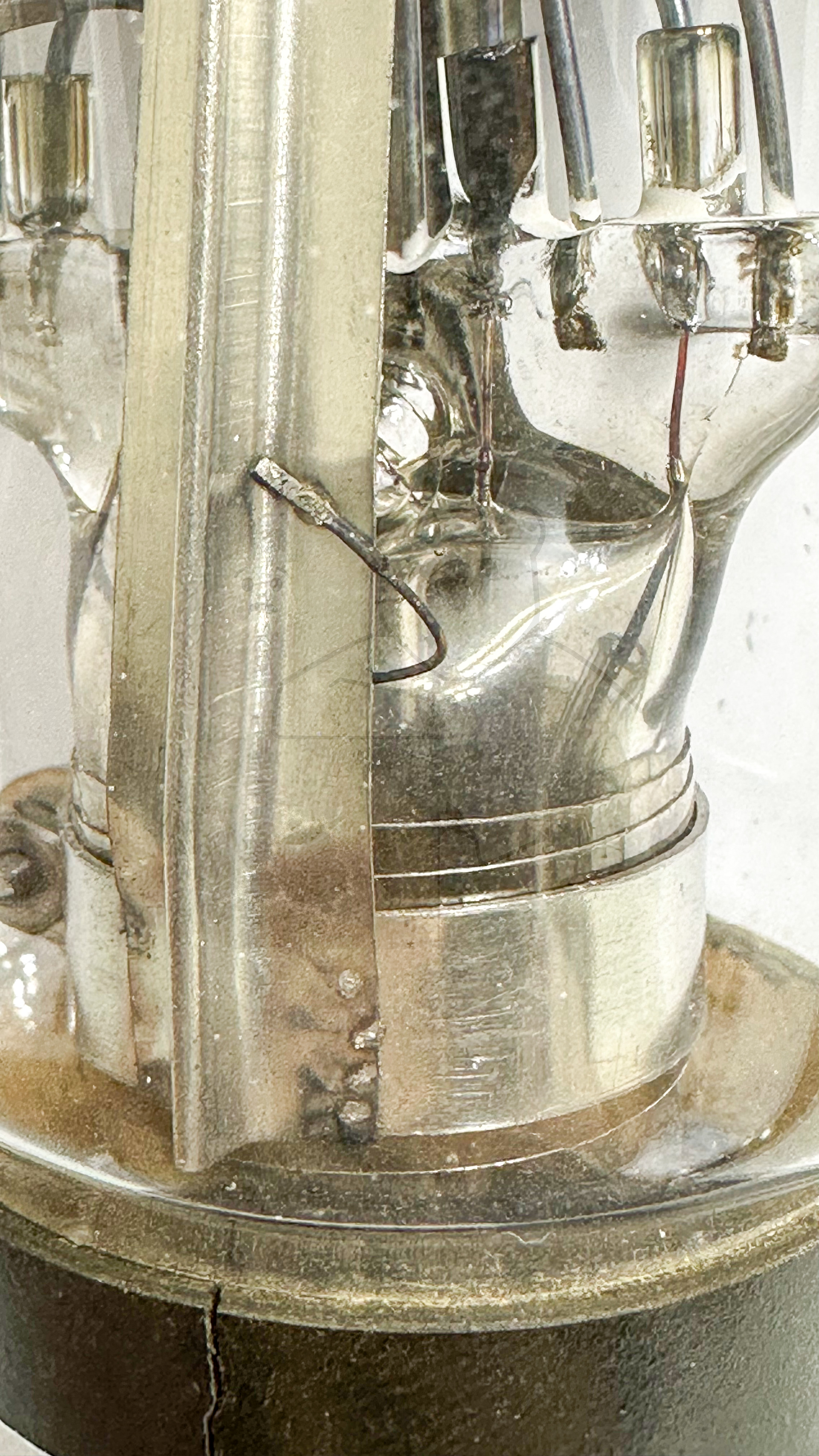 Röhre F443N #6650 Bild 9