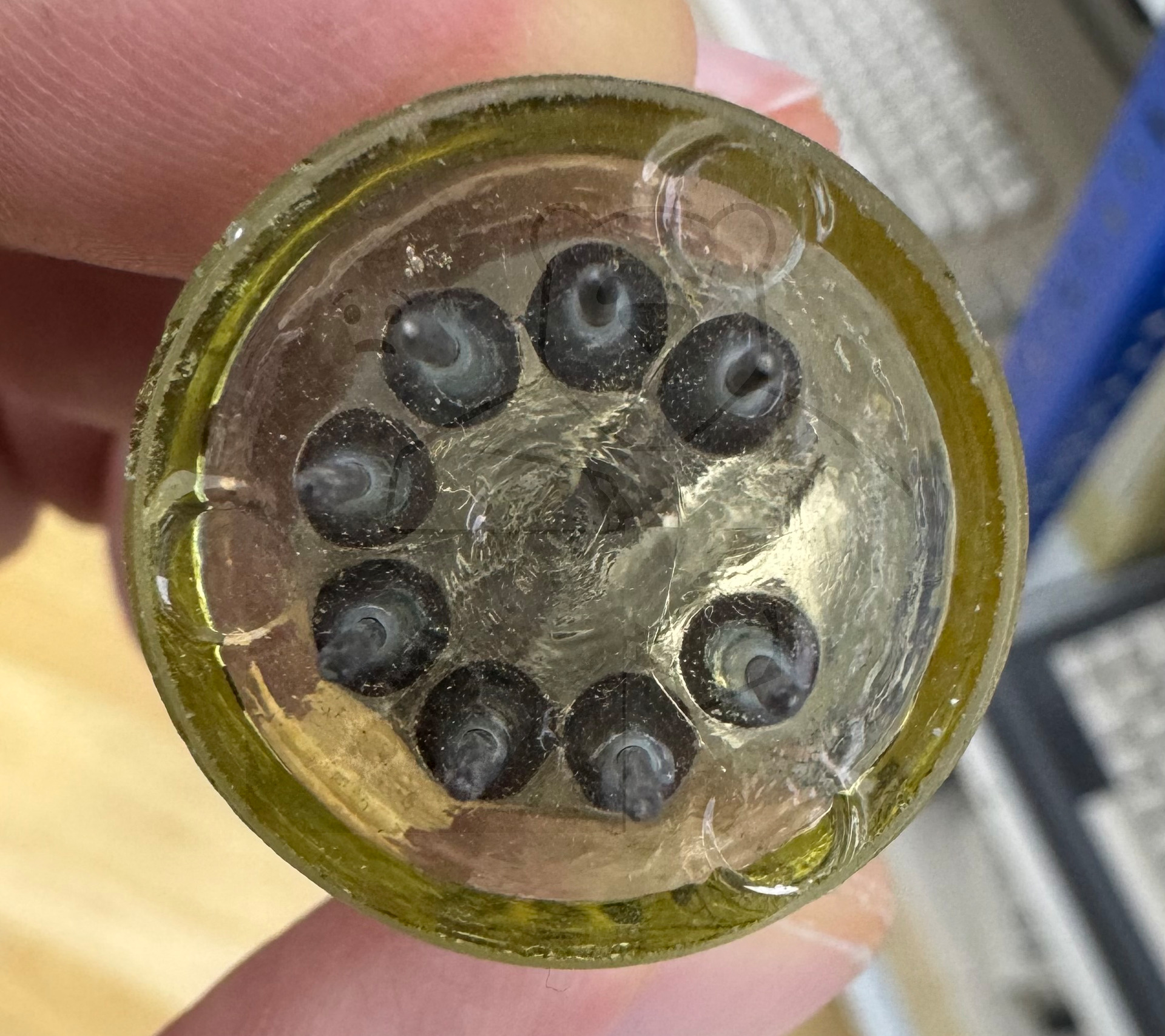 Röhre FB #0188 Bild 12