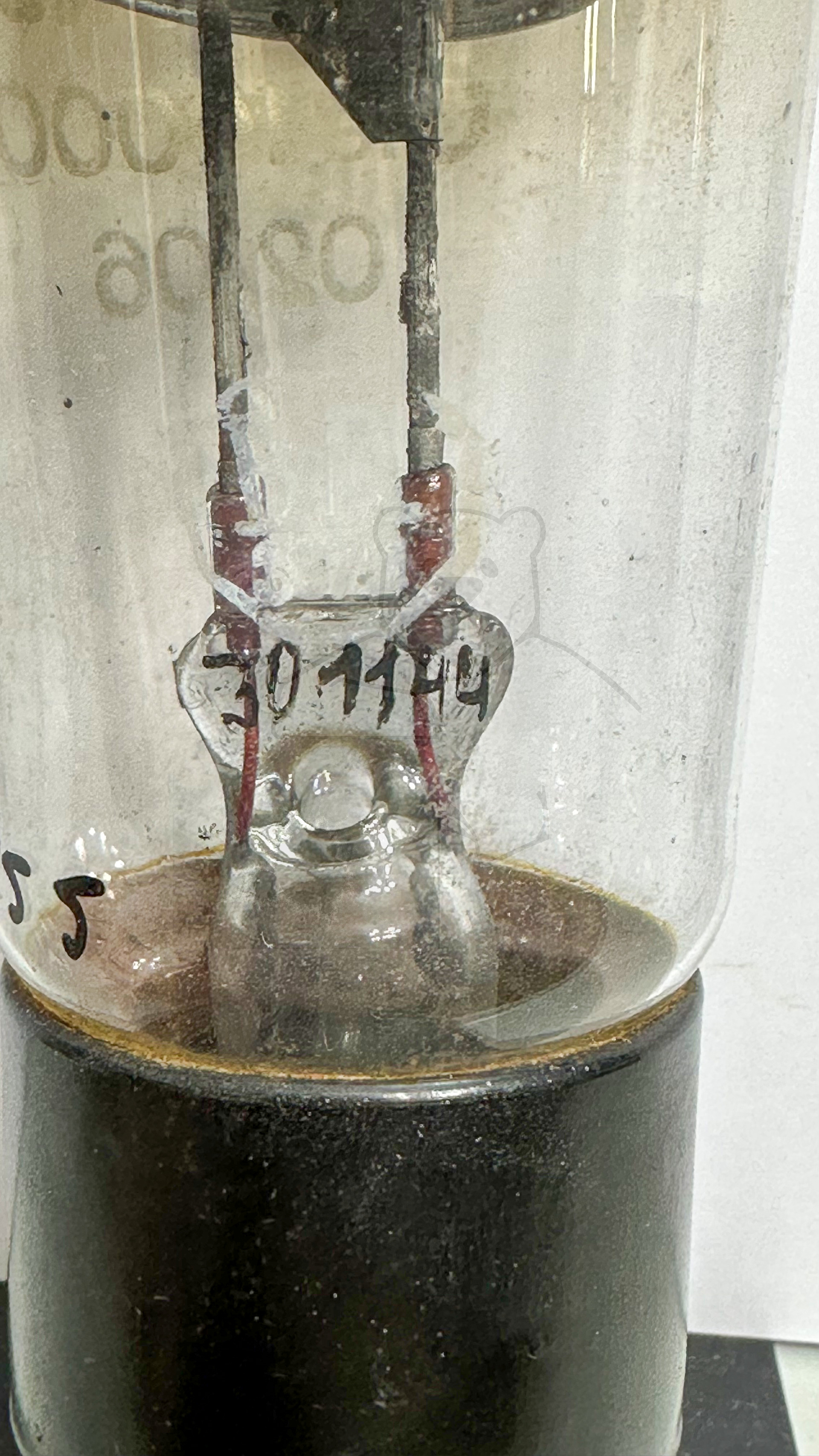 Röhre Gle10000-02-06 #3255 Bild 5