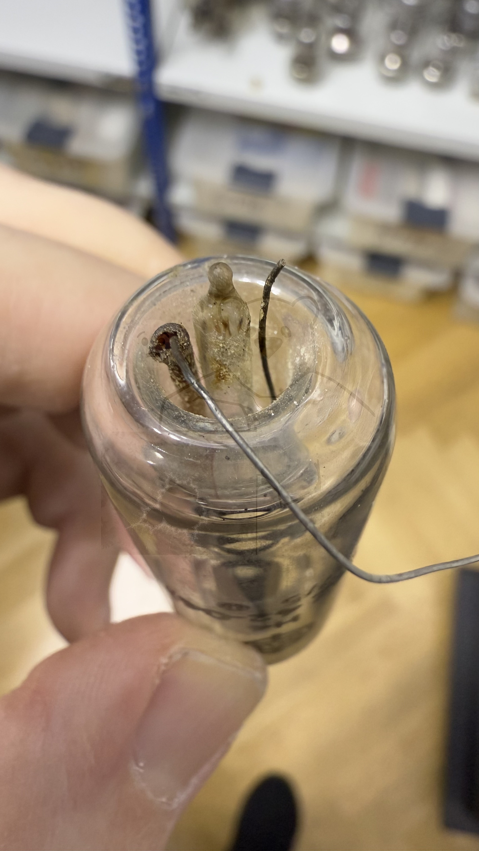 Röhre H4 #0274 KZ42-04 Bild 11