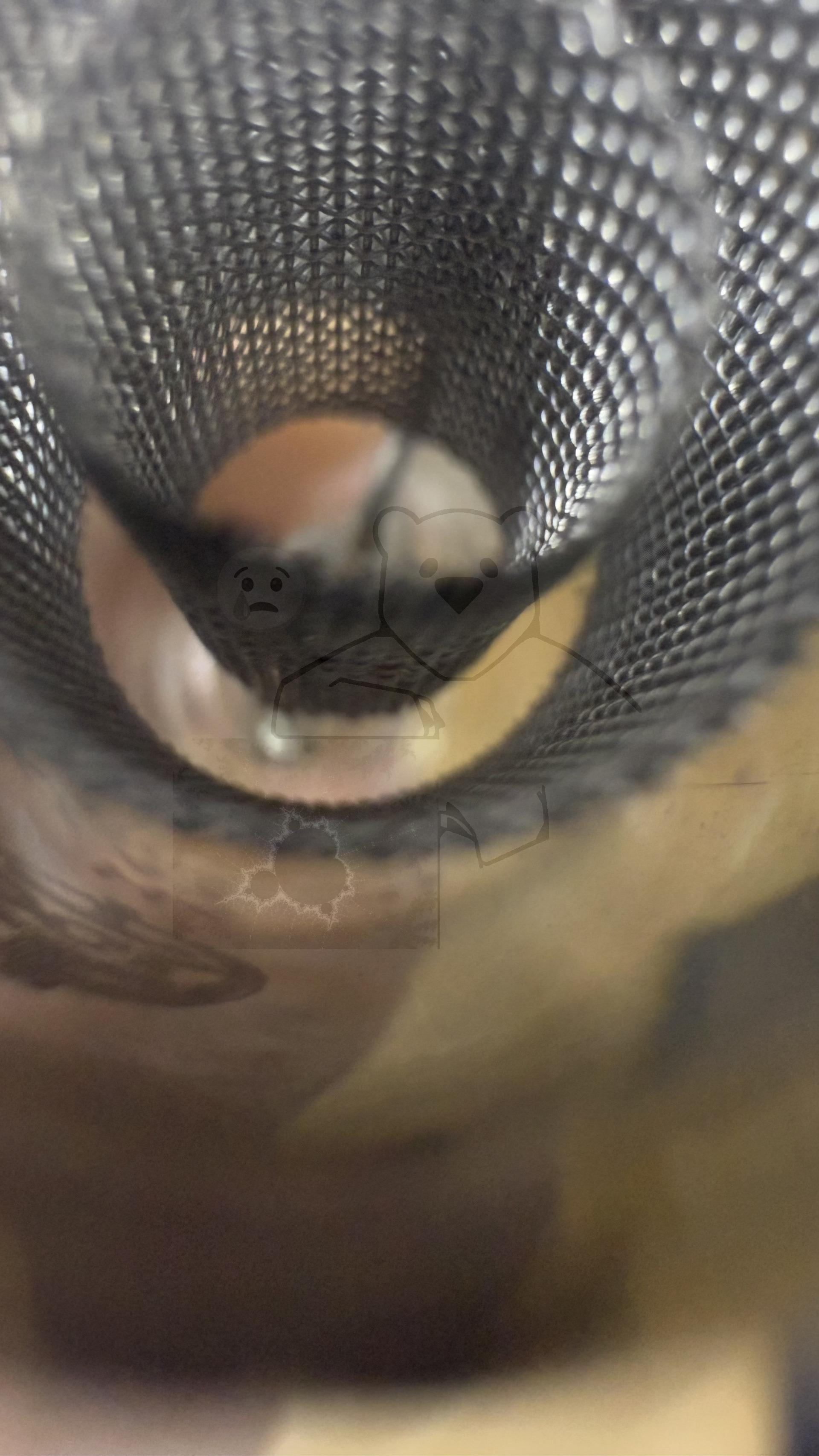 Röhre H4 #0275 KZ42-04 Bild 8