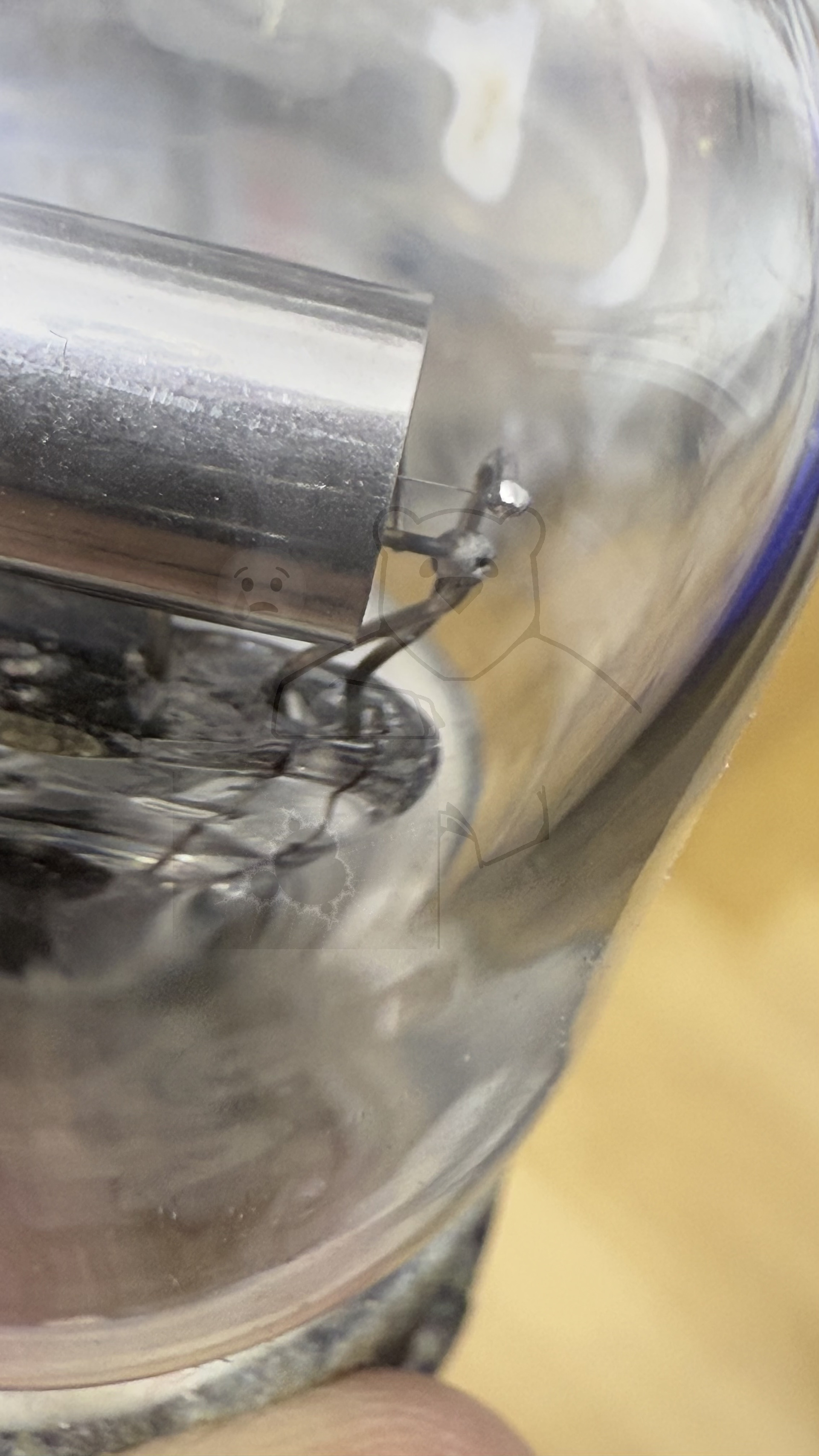 Röhre LE229 (Huth) #5261 Bild 10