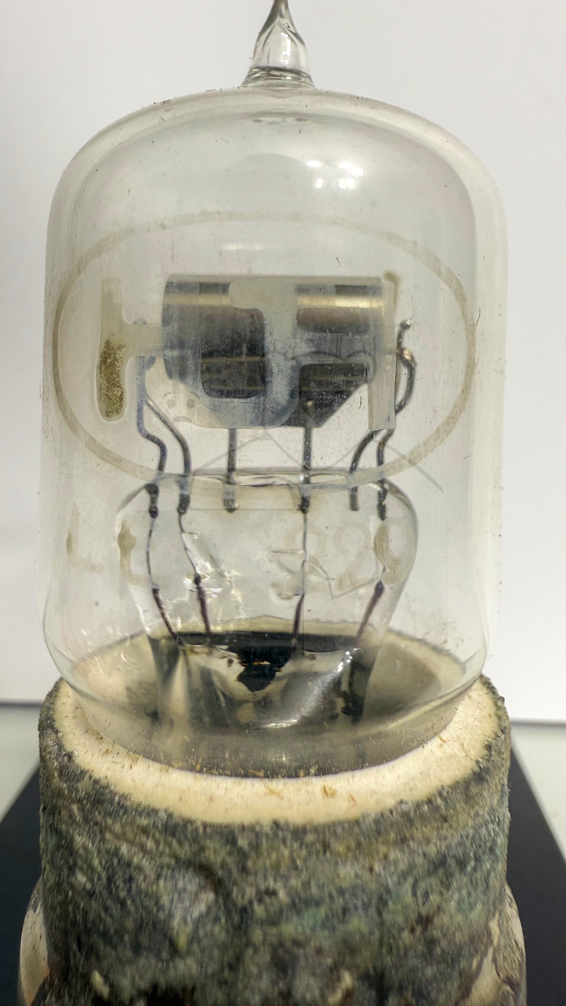 Röhre LE229 (Huth) #5261 Bild 3