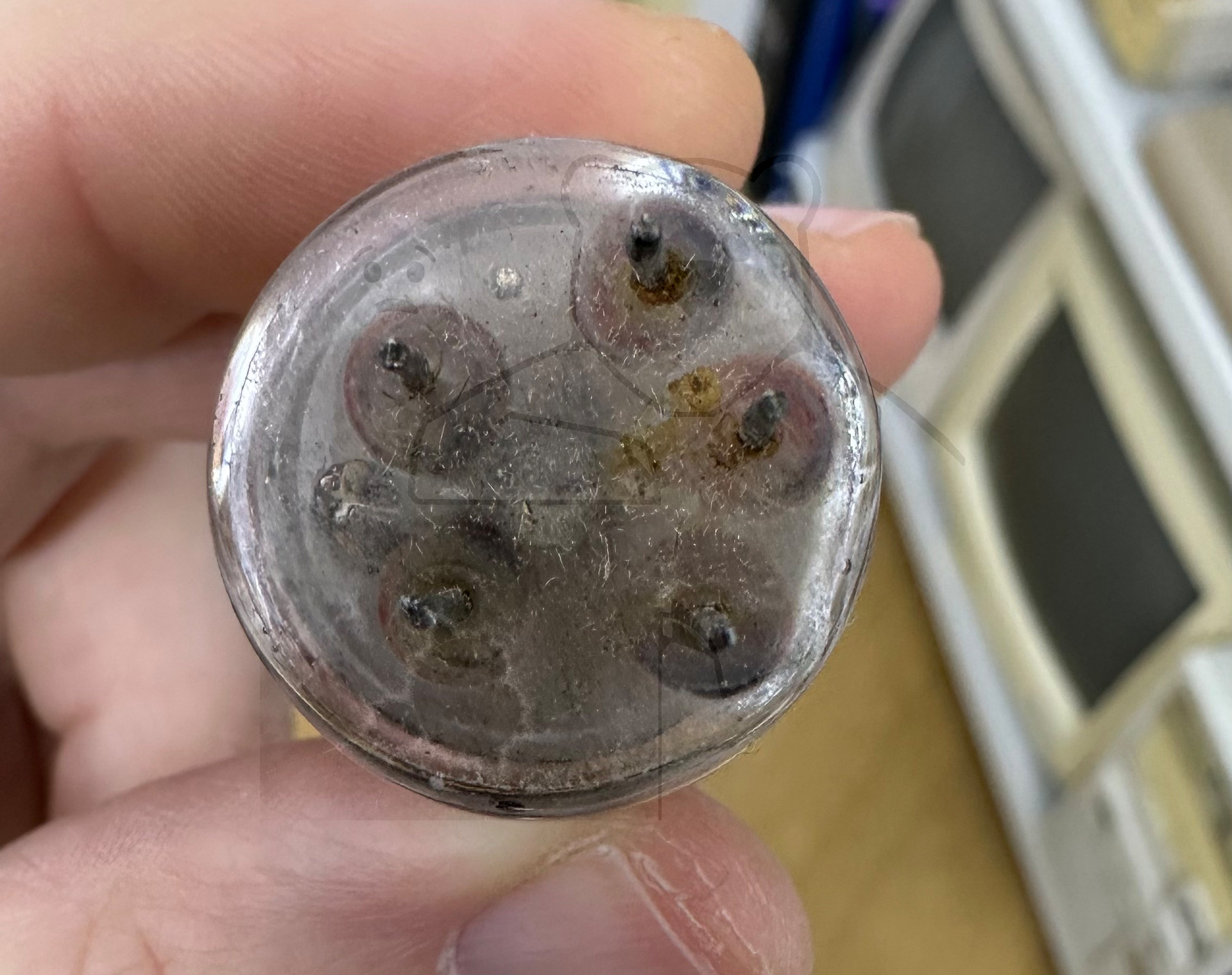 Röhre LG1A #6600 Bild 8