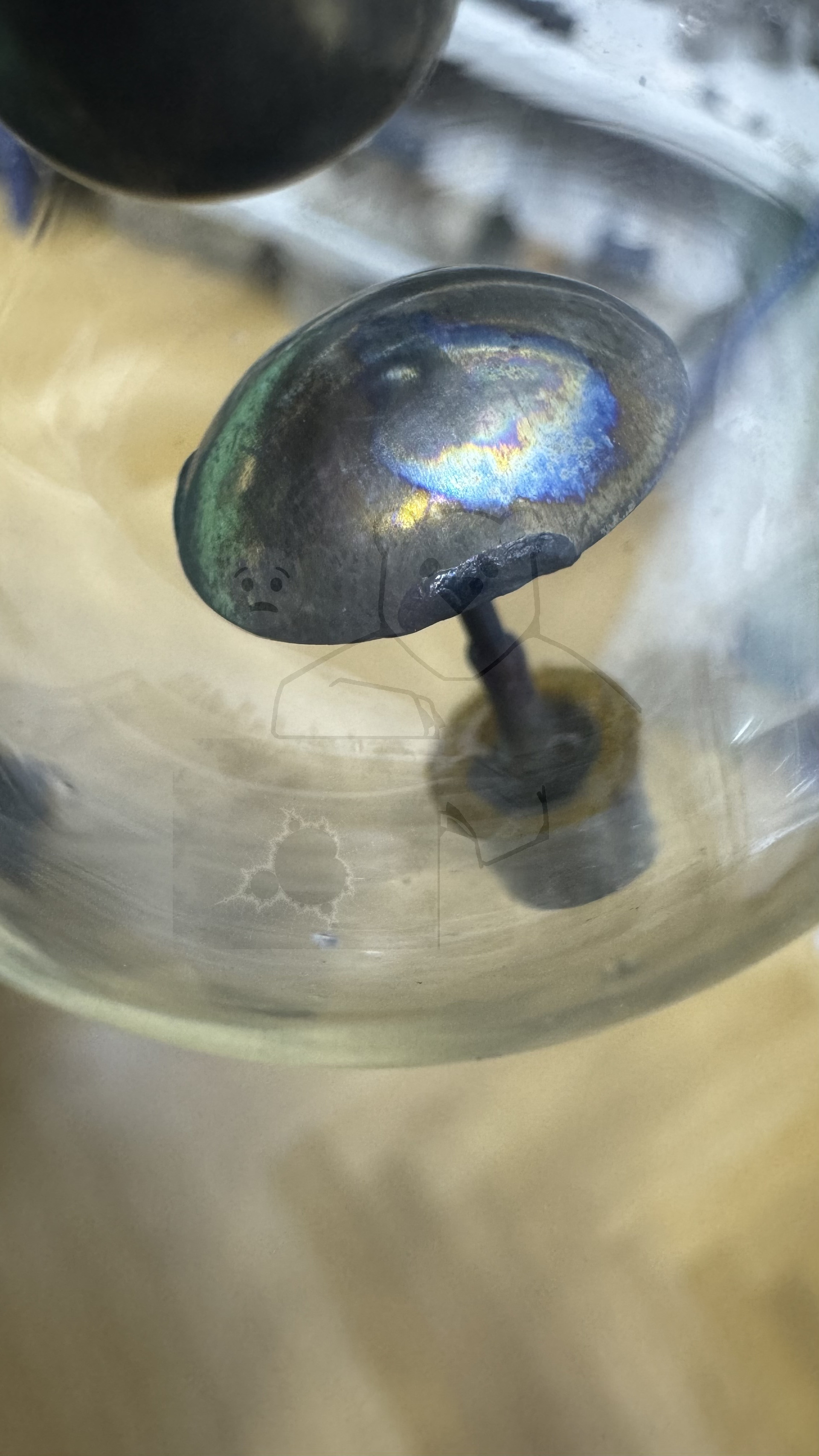 Röhre LG201 #8198 Bild 9